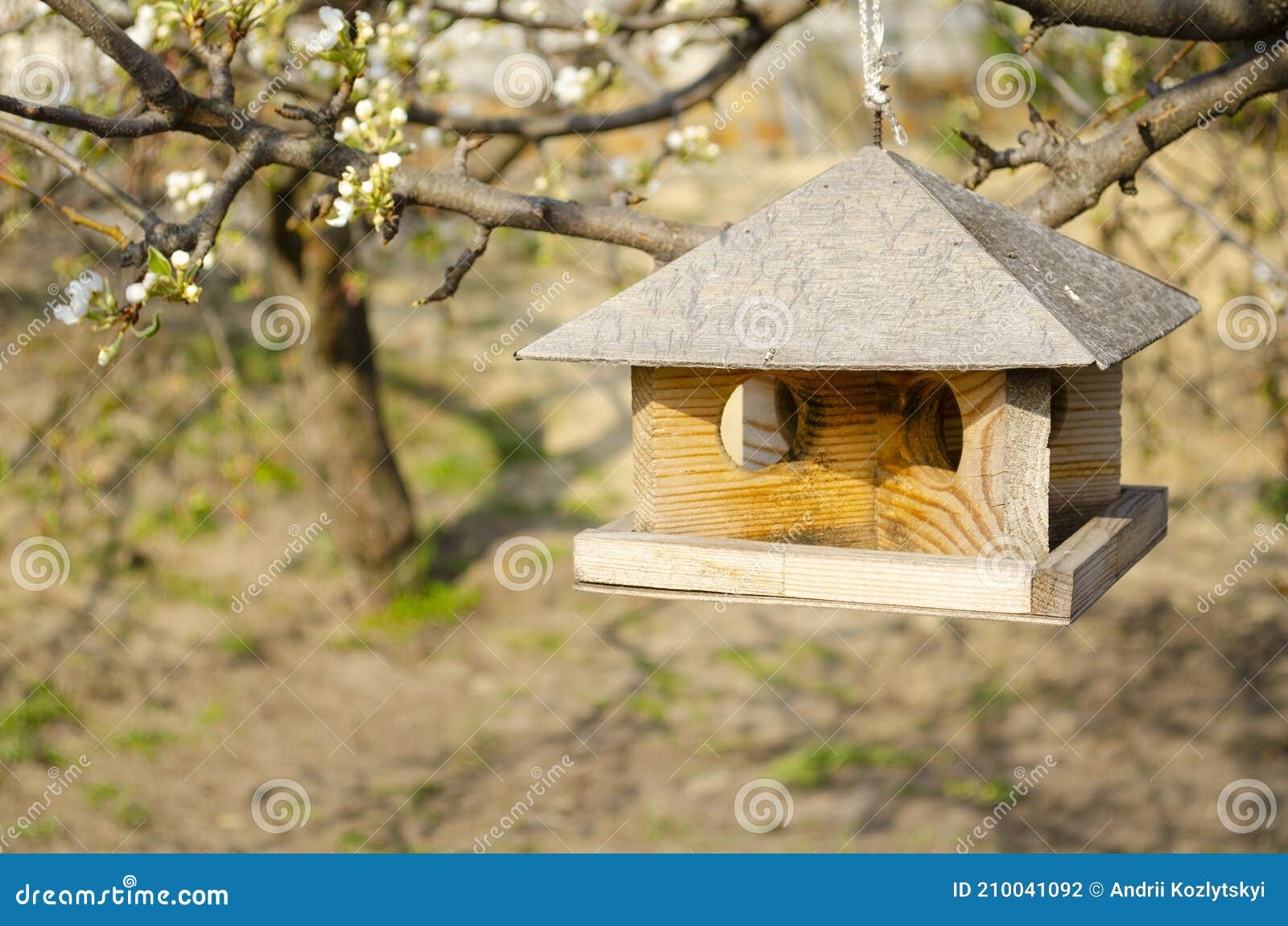 Impiccagione Di Un Uccellino Su Un Albero. Mangimi Per Uccelli Selvatici.  Casa Di Legno Per Uccelli. Nutrire Gli Uccelli. Scatola Fotografia Stock -  Immagine di alimento, paesaggio: 210041092