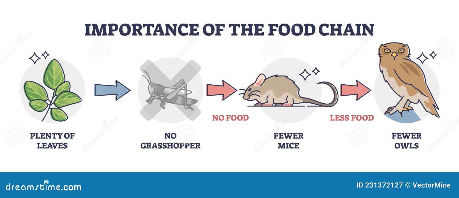 extinction Infographic Vector Illustration Process With Animal Biology Diagrams