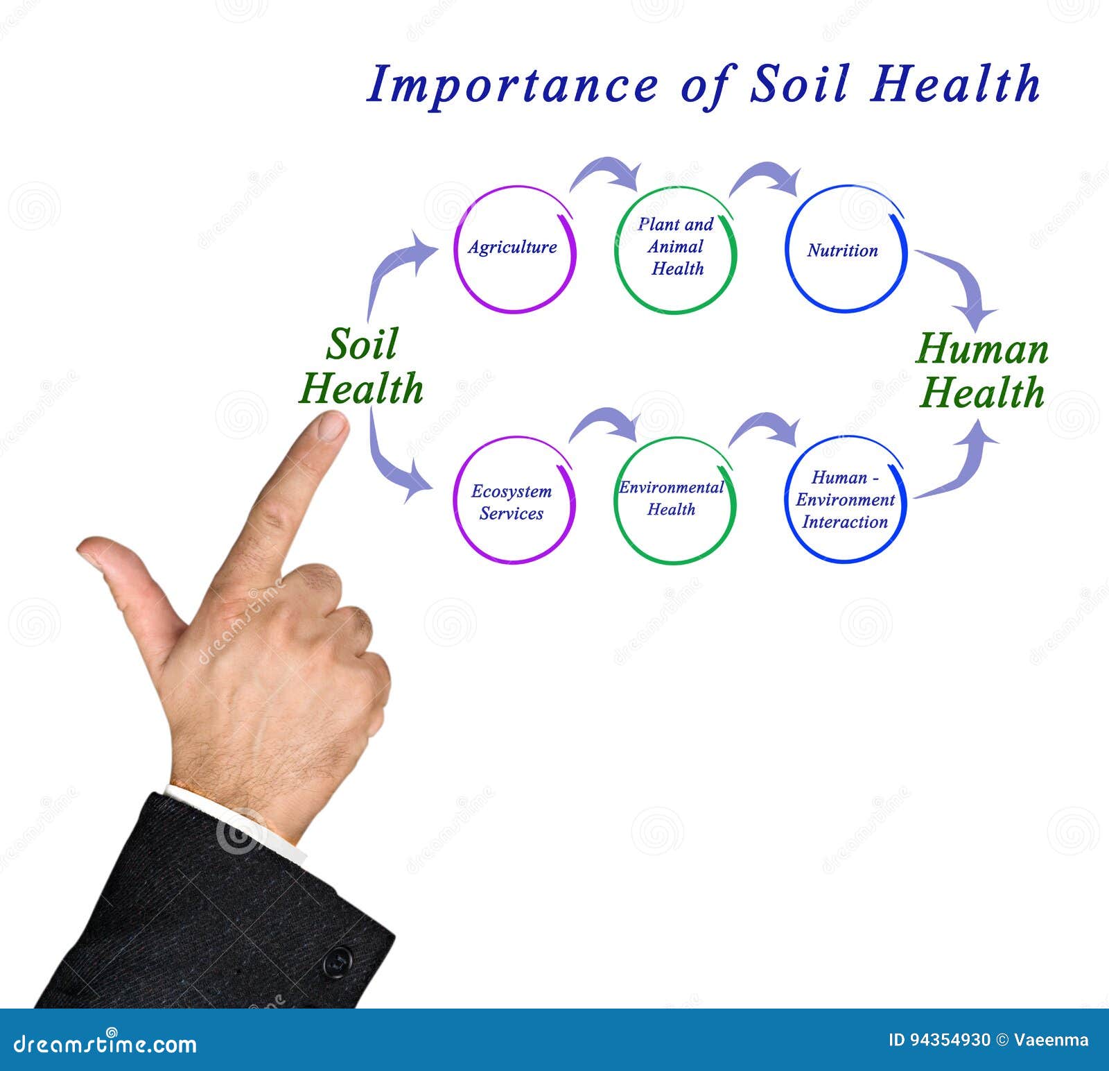 importance of soil health