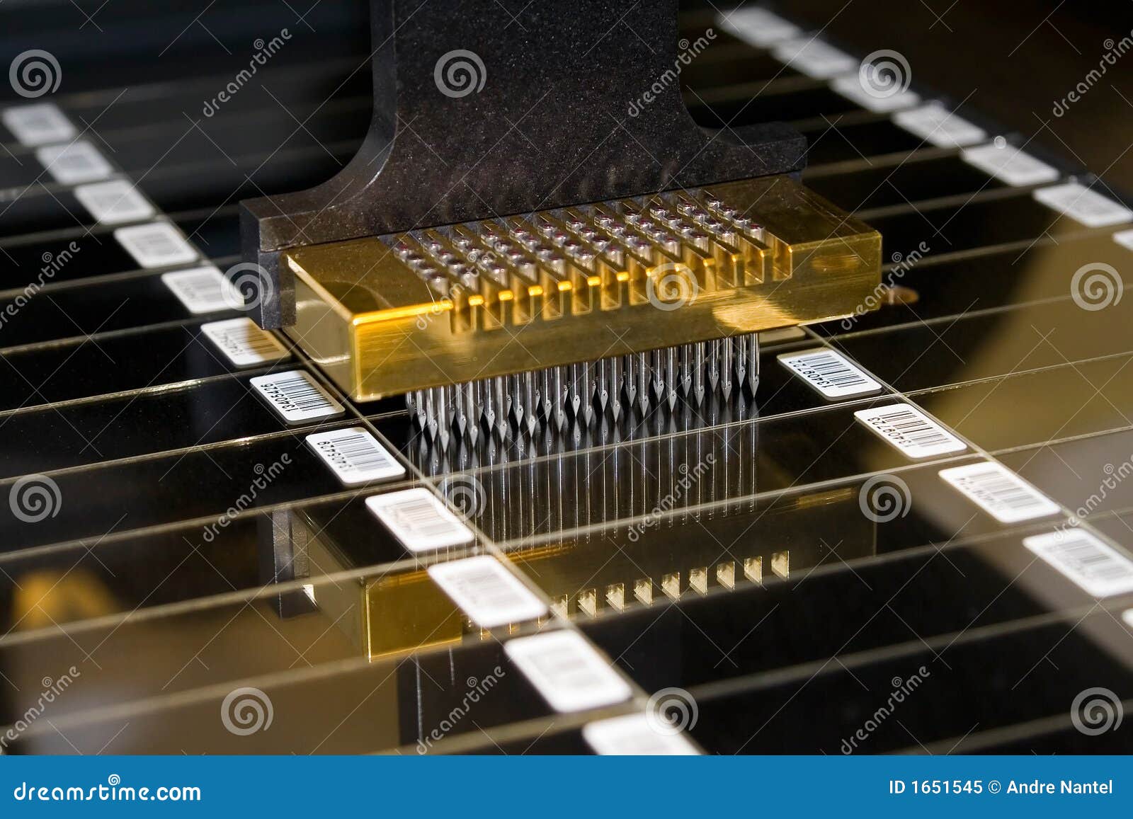 Pokémon X\u0026Y – Mega Blastoise | El Cuarto Player, image size:1600x1157