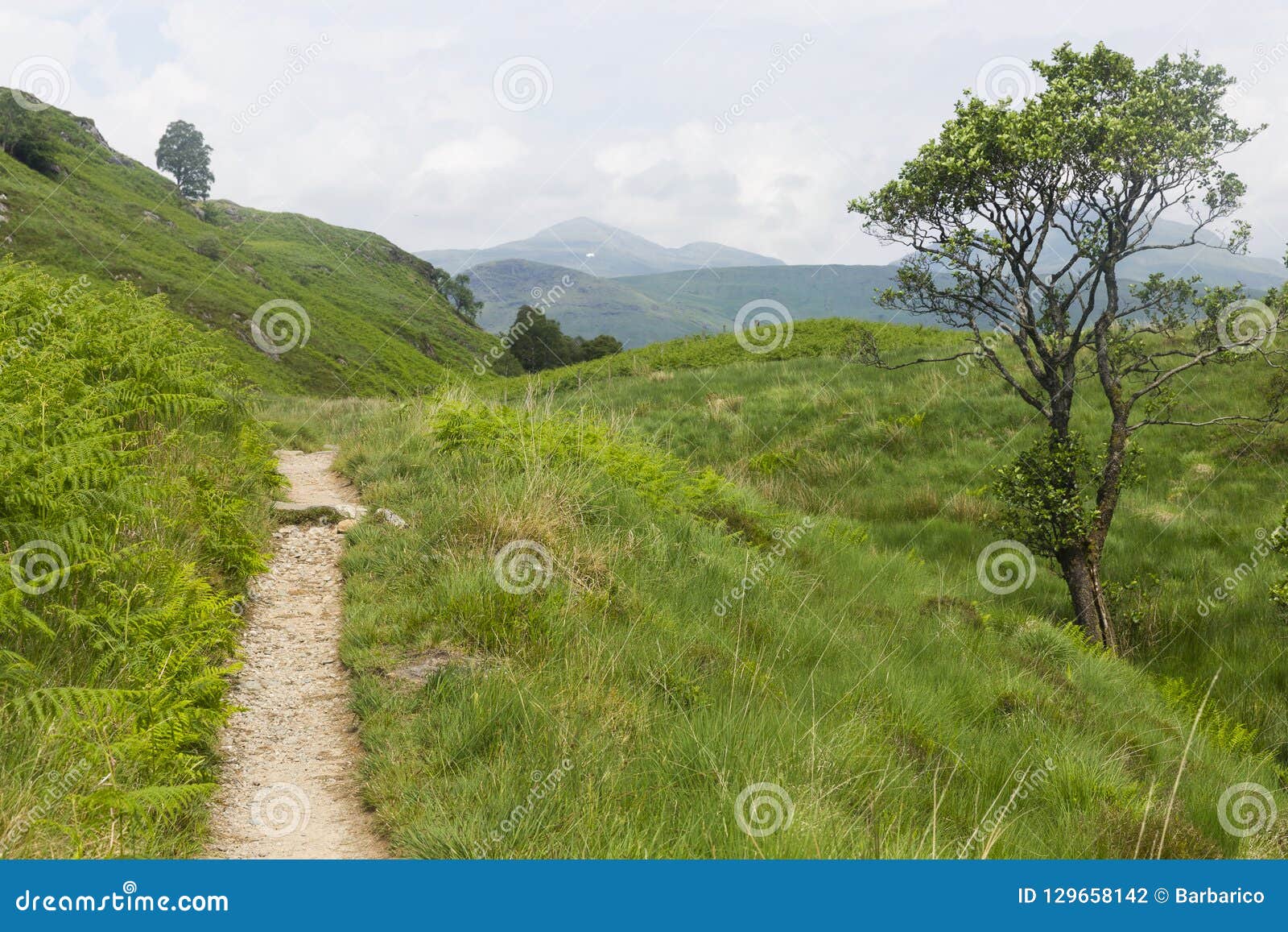A Path Through The Hills Stock Photo Image Of Britain A Path Through The Hills Stock Photo Image Of Britain