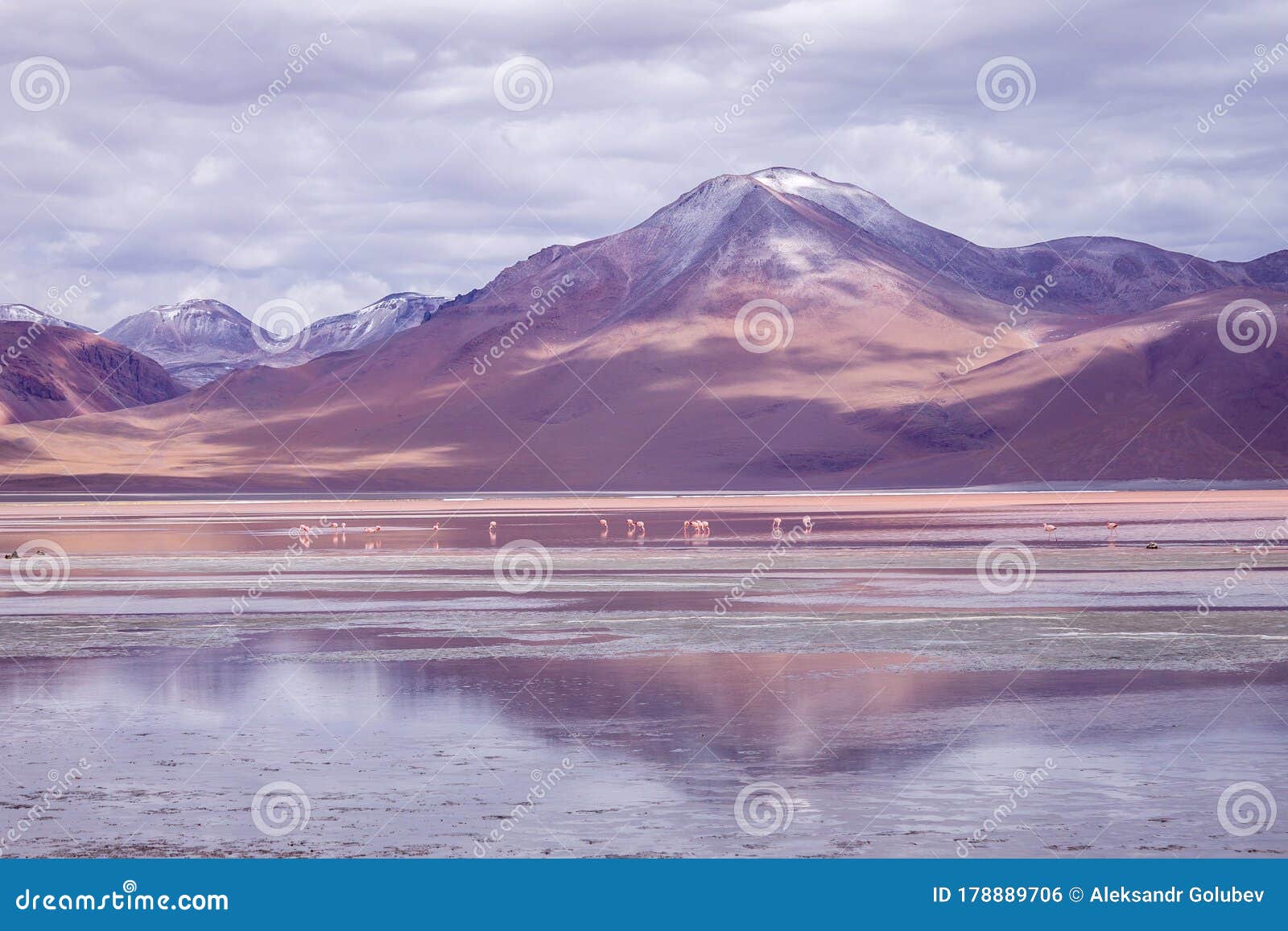 reflection lake bolivia reflection lake bolivia