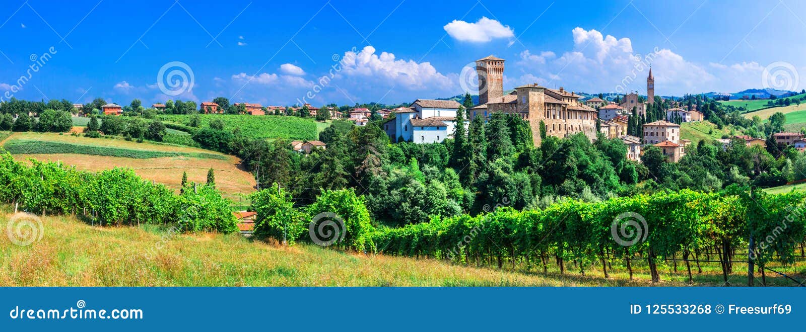 romantic vine route with medieval castles in italy. emiglia romagna.