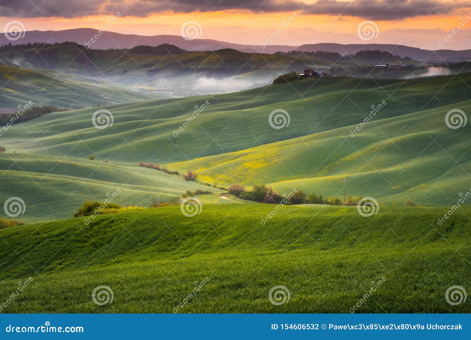 Impressive Spring Landscape,view with Cypresses and Vineyards ,Tuscany ...