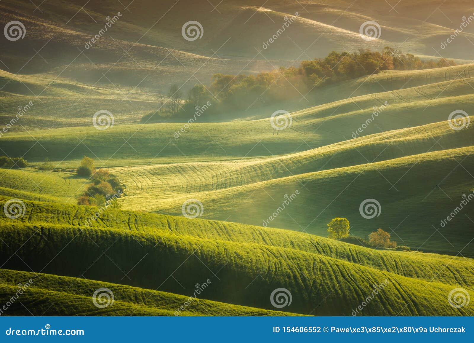 Impressive Spring Landscape,view with Cypresses and Vineyards ,Tuscany ...