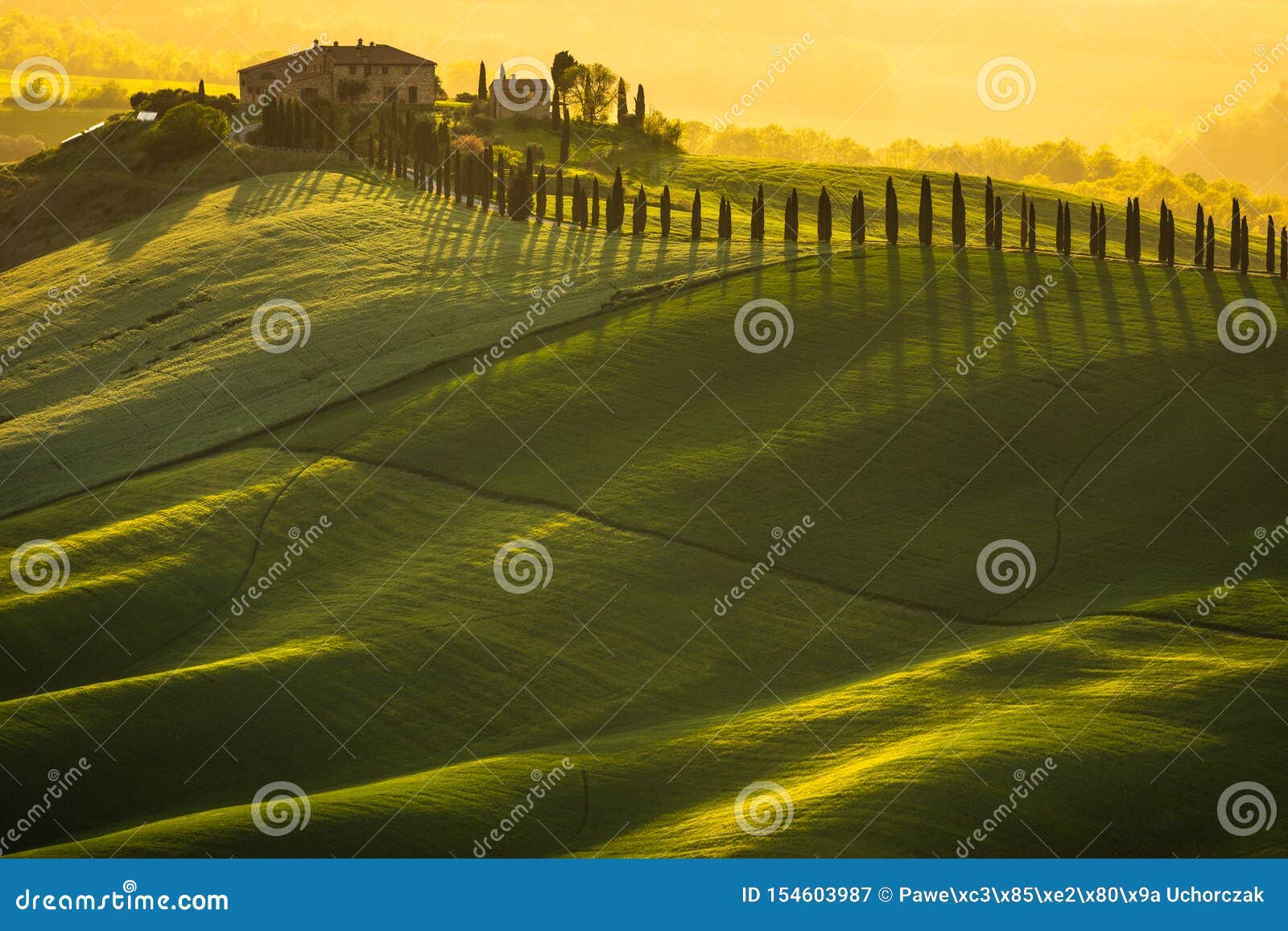 Impressive Spring Landscape,view with Cypresses and Vineyards ,Tuscany ...