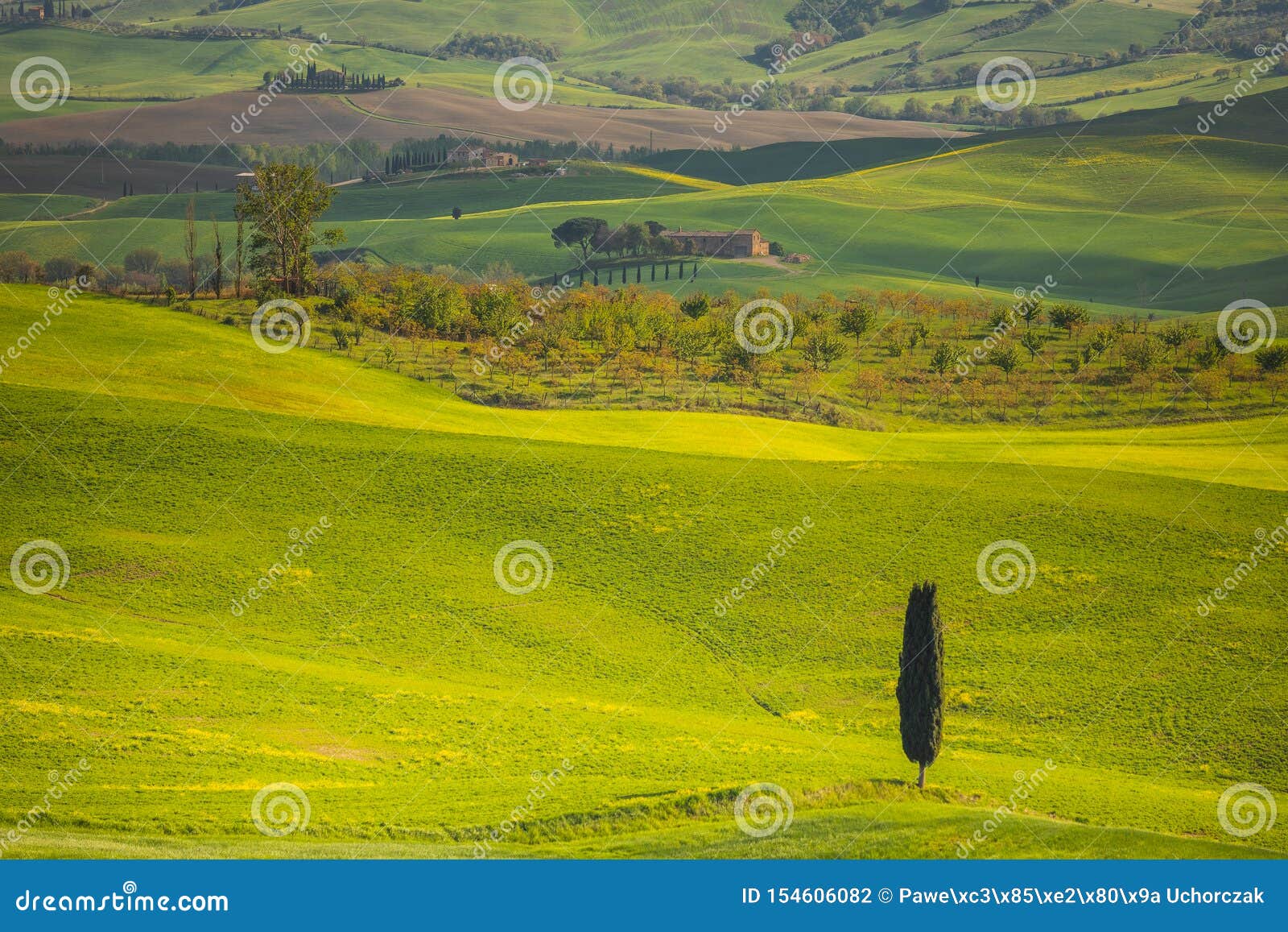 Impressive Spring Landscape,view with Cypresses and Vineyards ,Tuscany ...