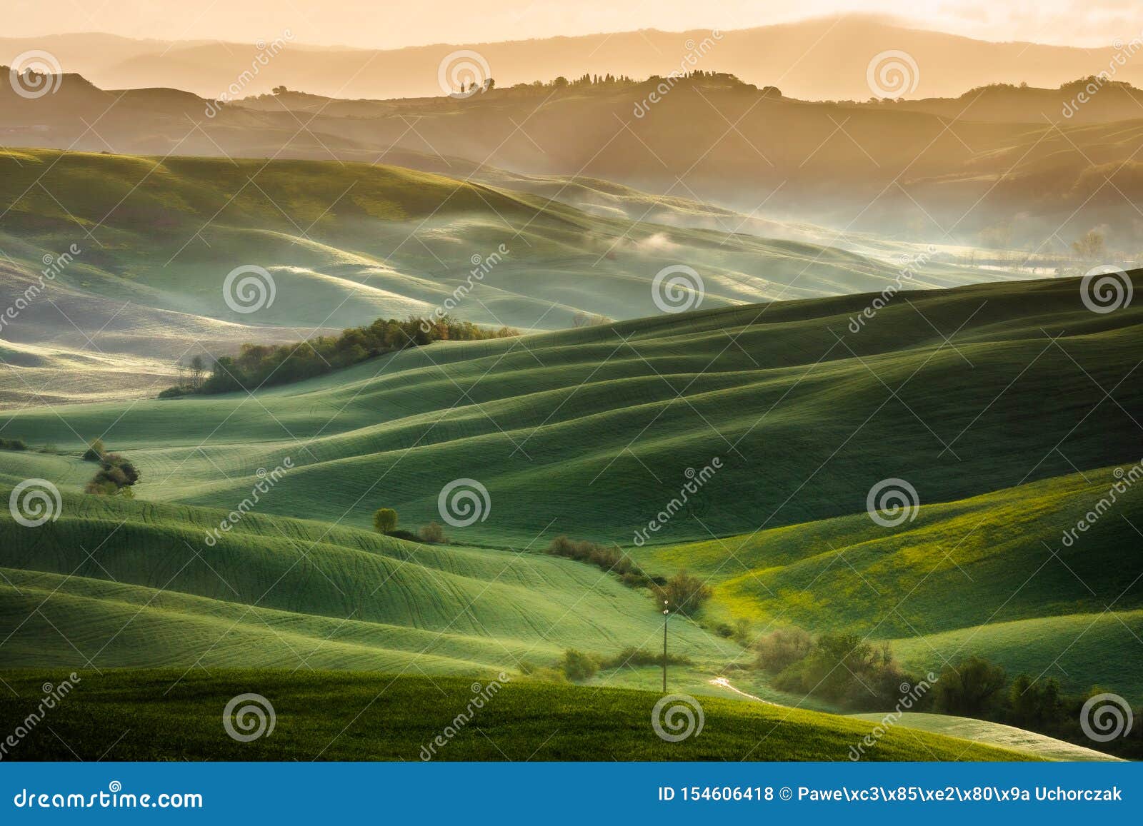 Impressive Spring Landscape,view with Cypresses and Vineyards ,Tuscany ...