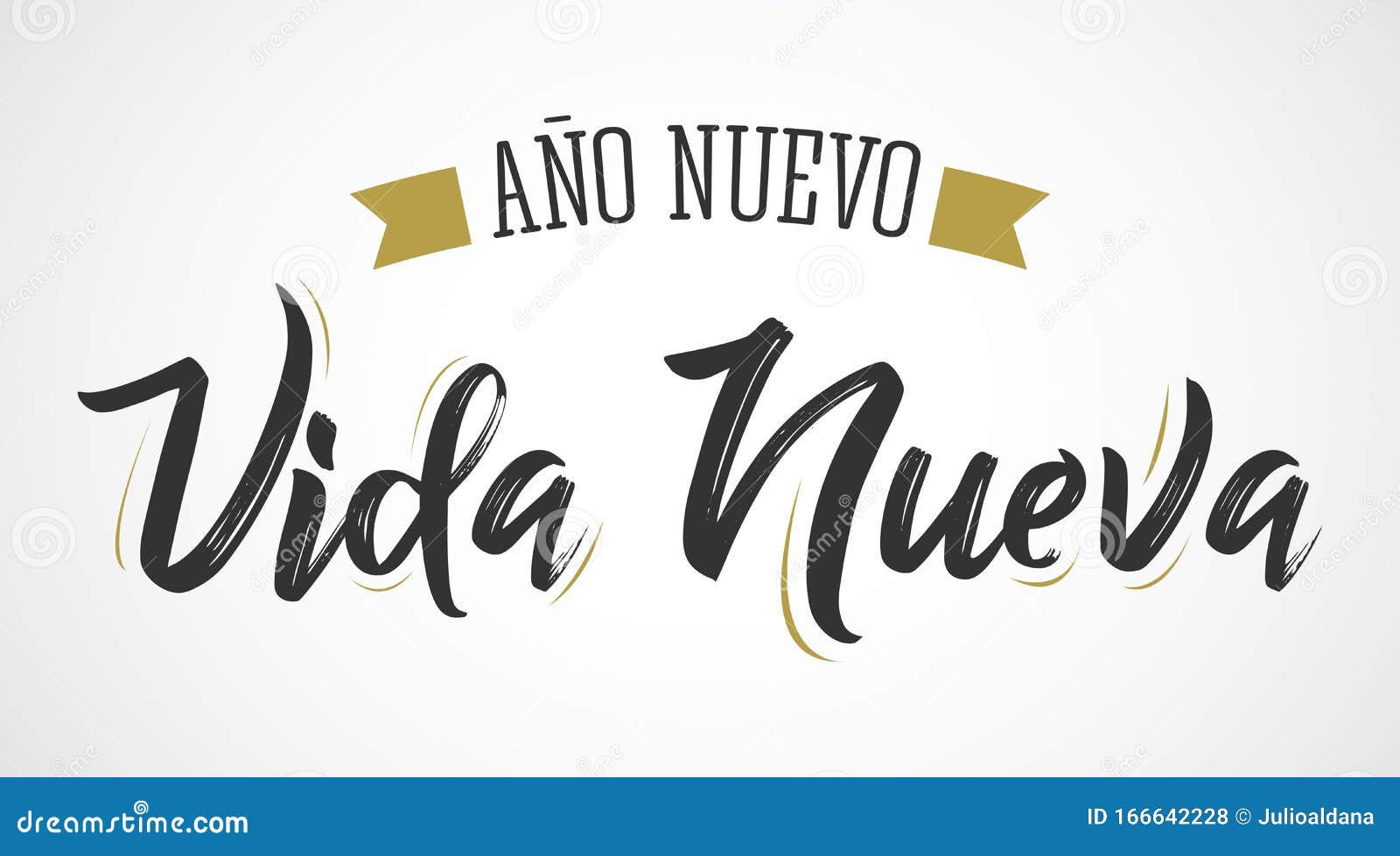 ano nuevo vida nueva, new year new life spanish text  .