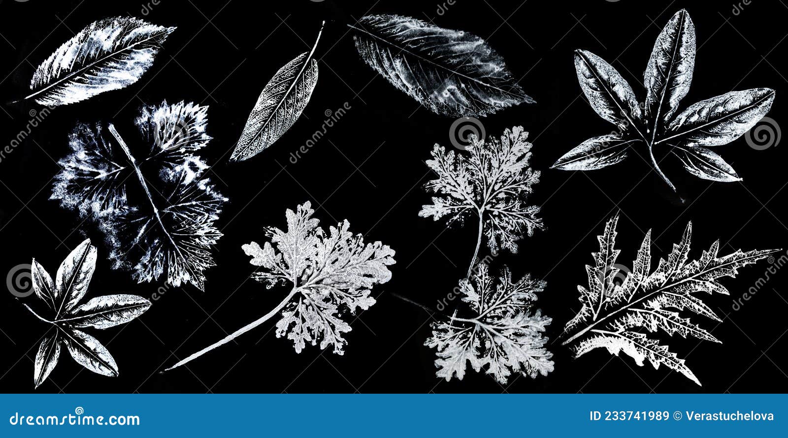 imprints of leaves - graphics - monoprint