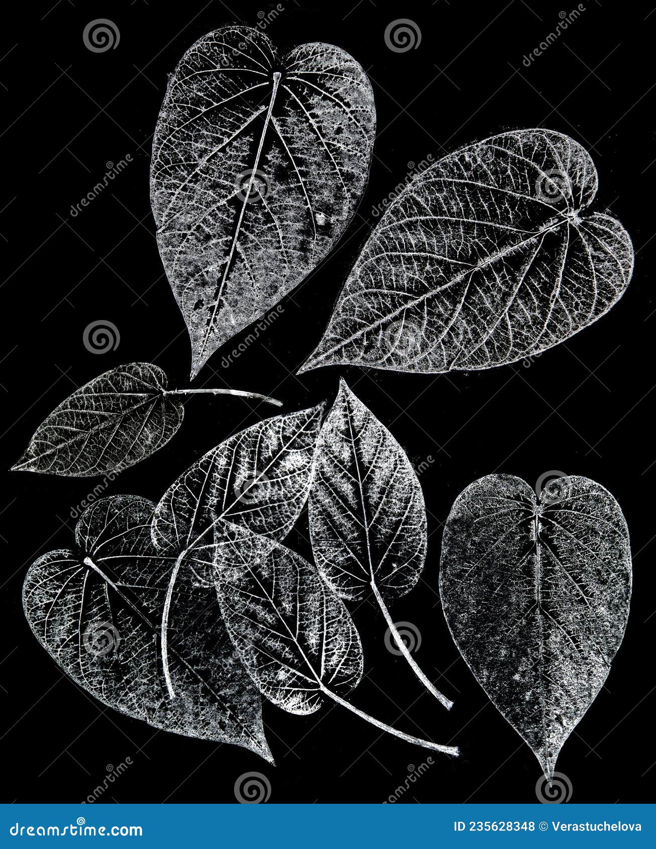imprints of leaves - graphics - monoprint