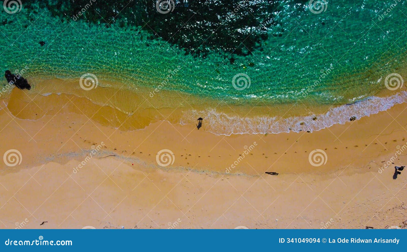ina burak beach in adonara features stunning clear blue waters and soft white sand