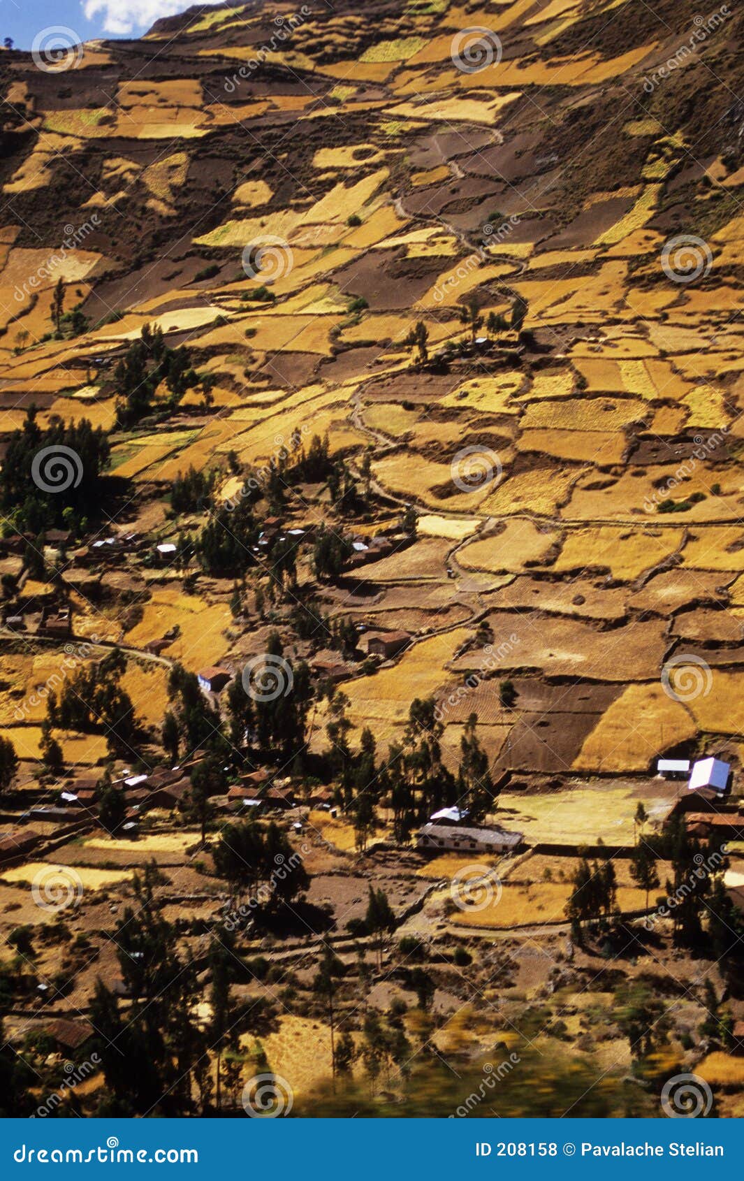 inca terrace on chavin