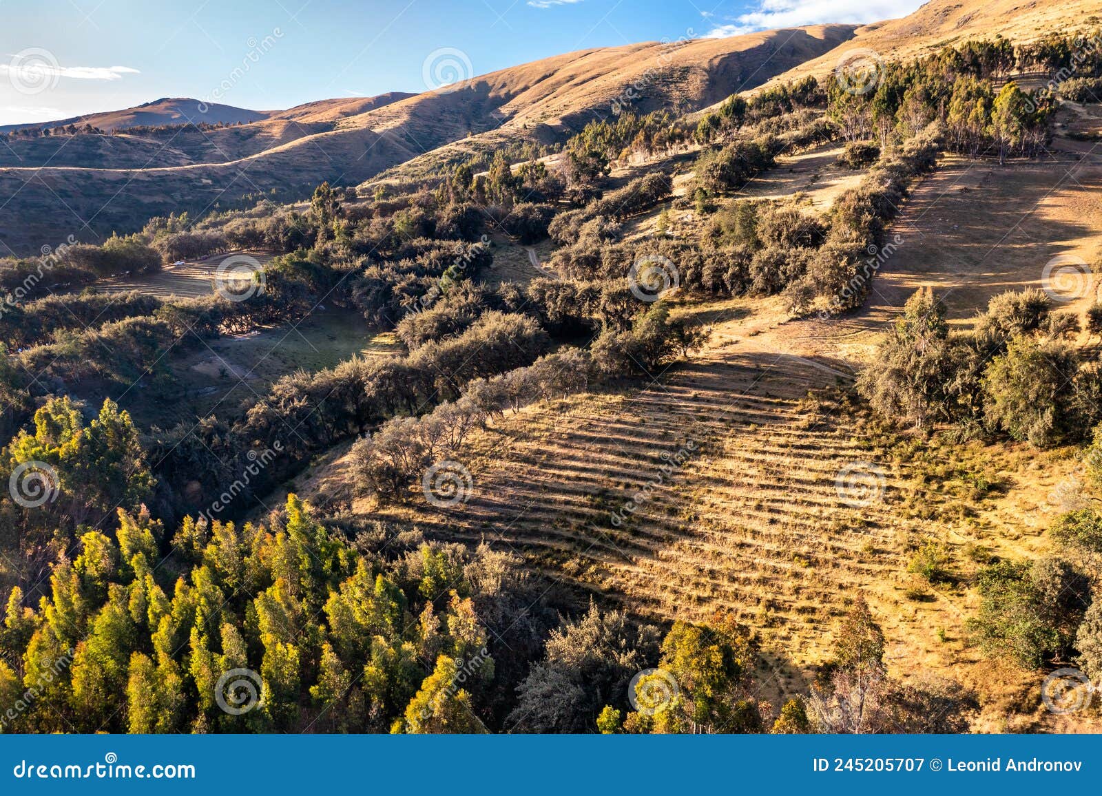 incan terraces at bosque dorado near huancayo, peru