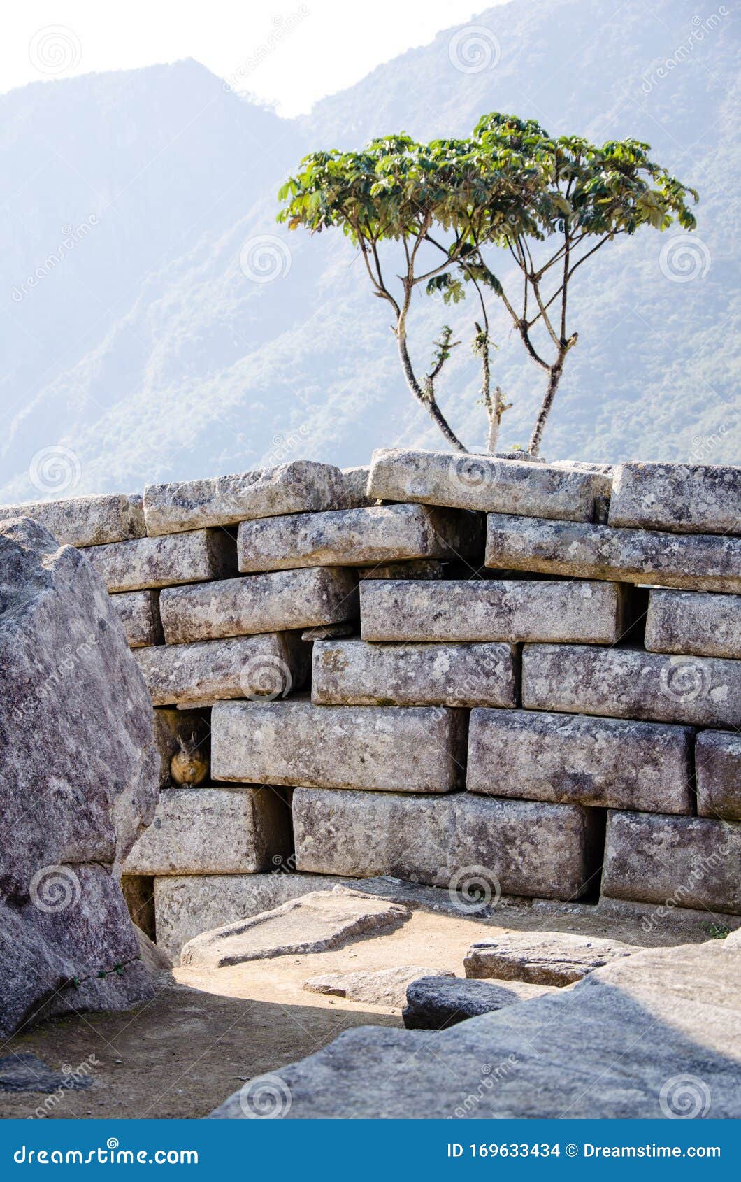 An Incan Wall At City Macchu Picchu Stock Photo Image Of Picchu