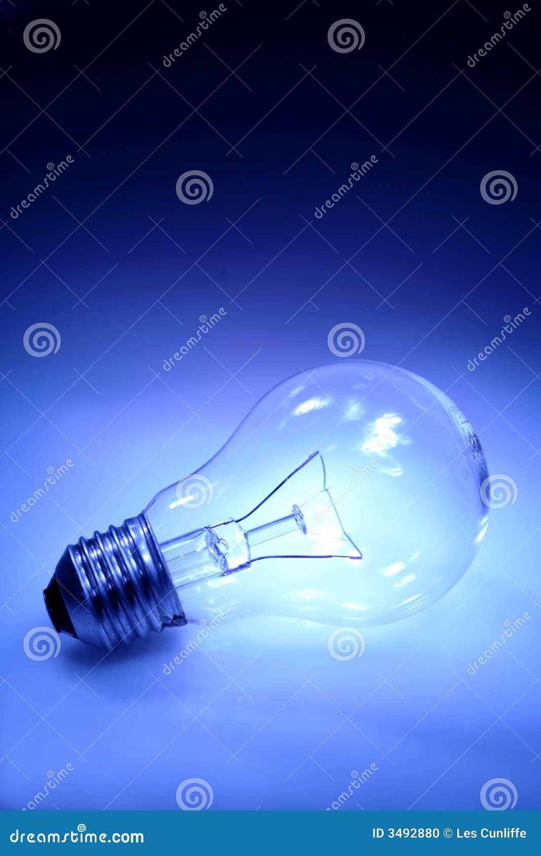 incandescent light bulb