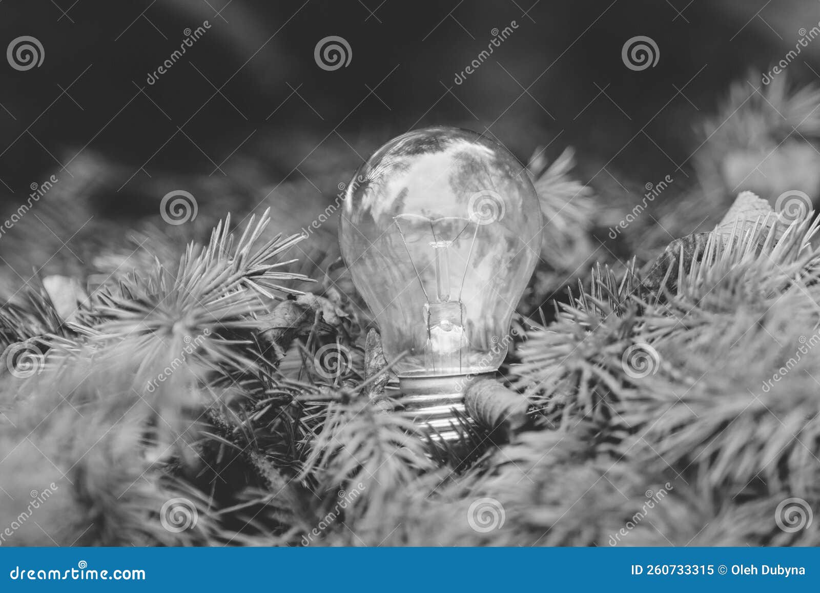 An Incandescent light bulb stock image. Image of glow 260733315
