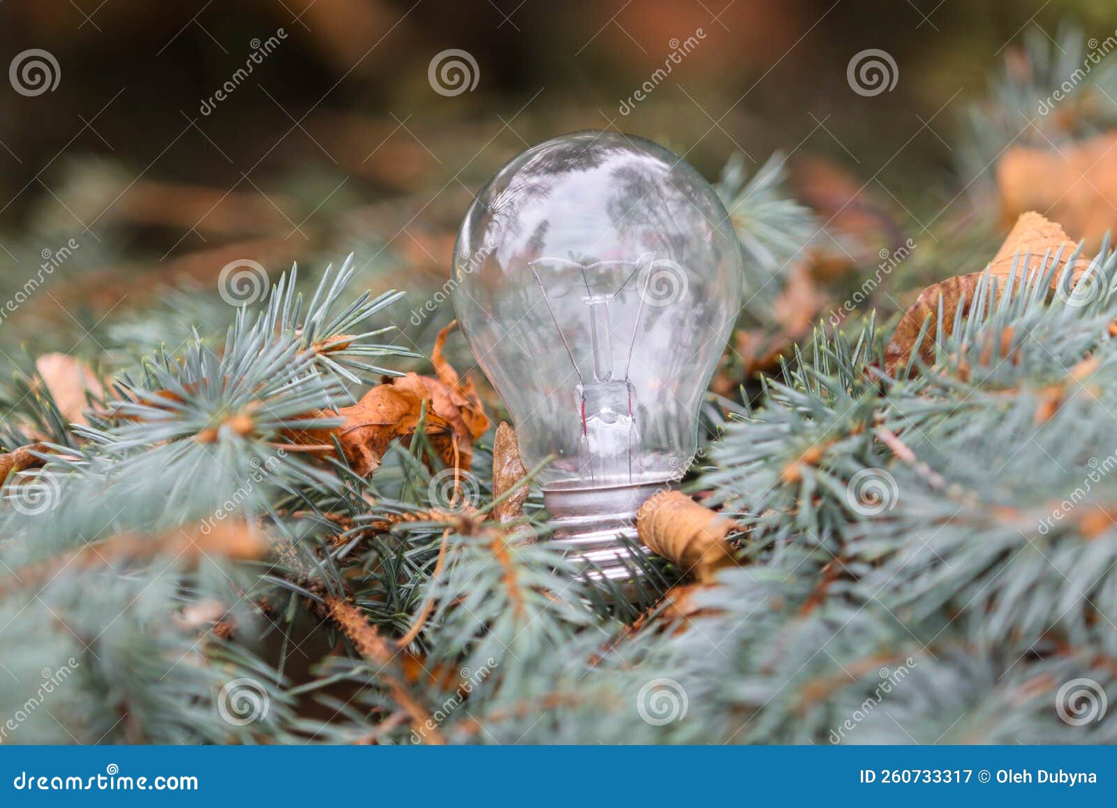 An Incandescent light bulb stock image. Image of energy 260733317