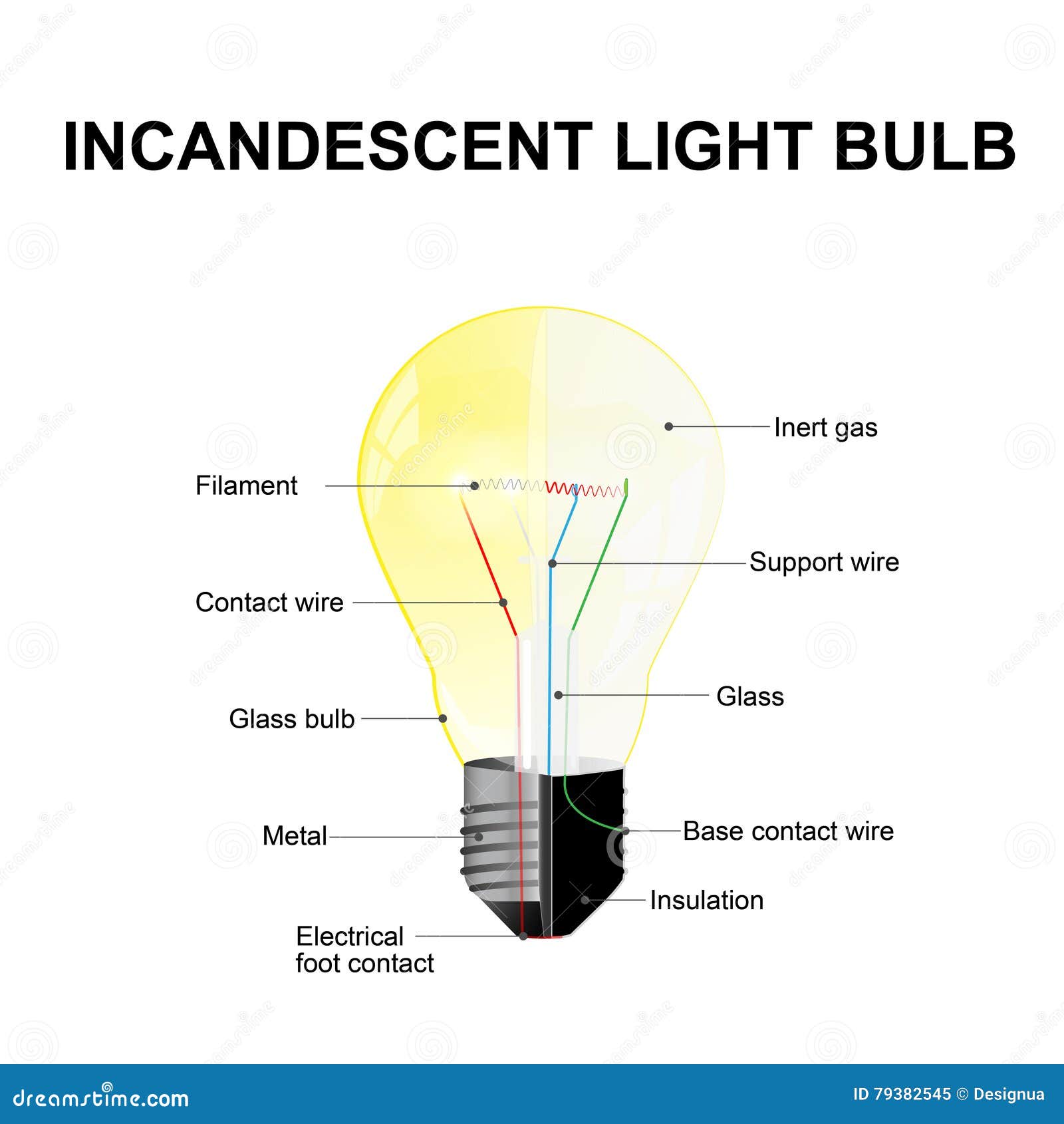 Incandescent Light Bulb Stock Vector  Illustration Of
