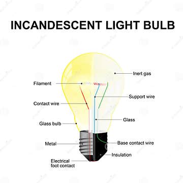 Incandescent light bulb stock vector. Illustration of technology - 79382545