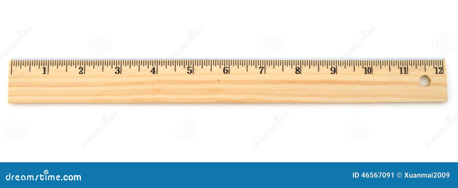 12 inch ruler standard