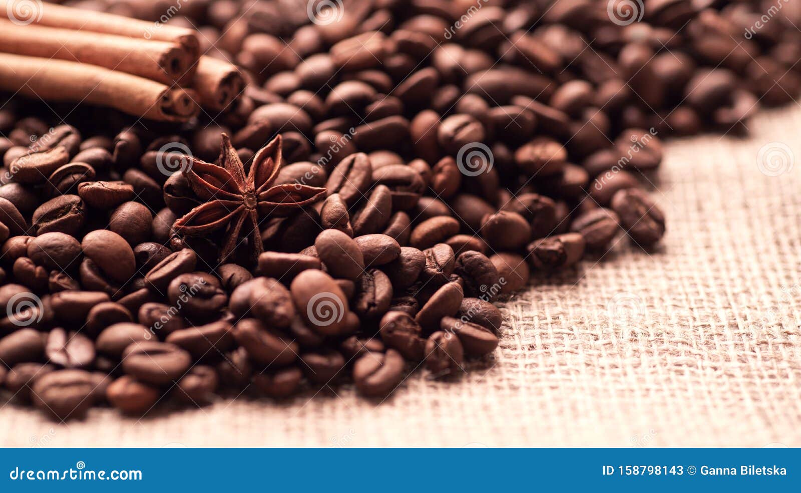 Incitronstav av kanelstjärnanis och korn av rostat kaffe. Inskränkningar av kanelstjärnanis och frön av rostat kaffe.
