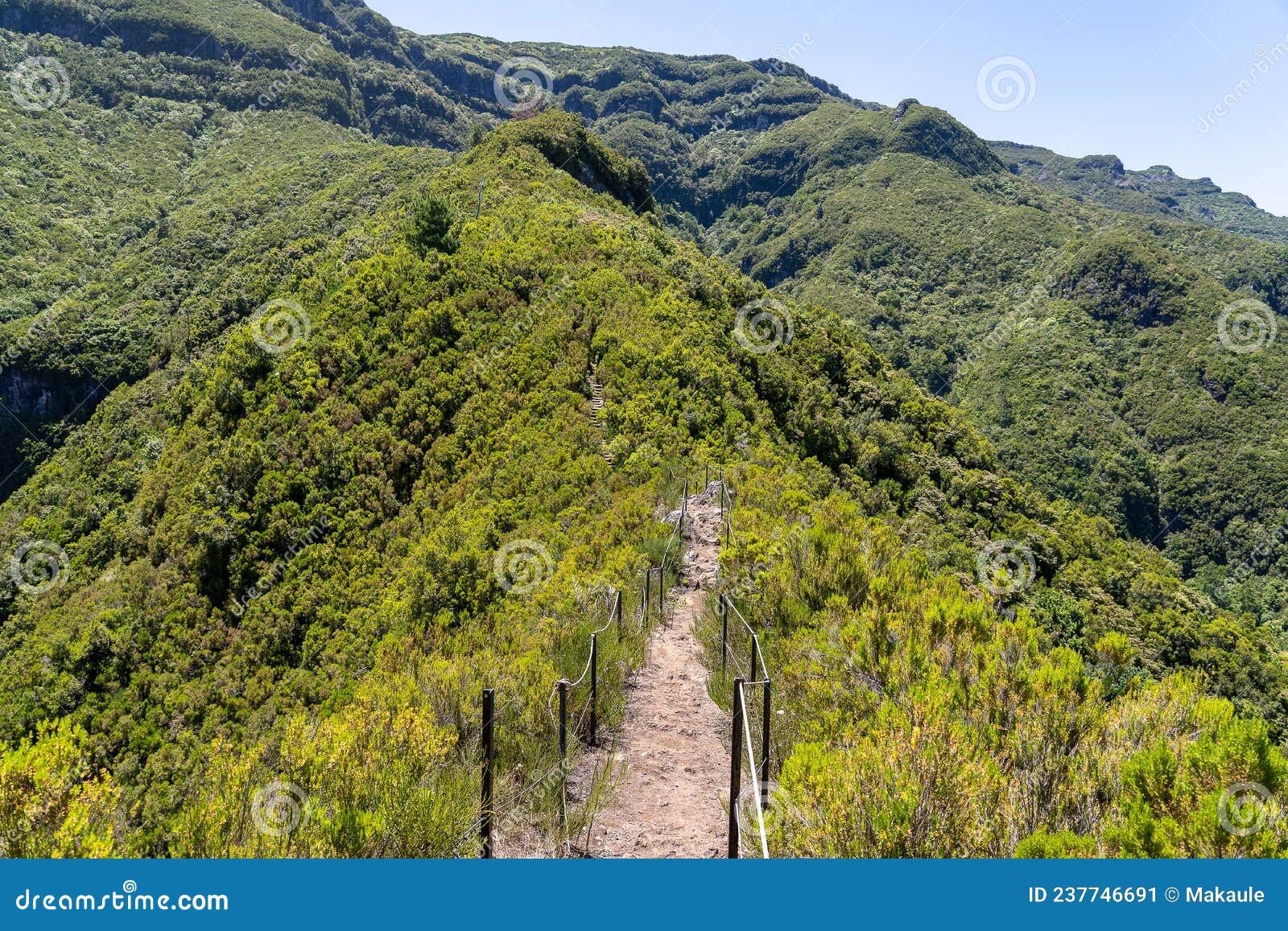 incredibe nature beauty of madeira island