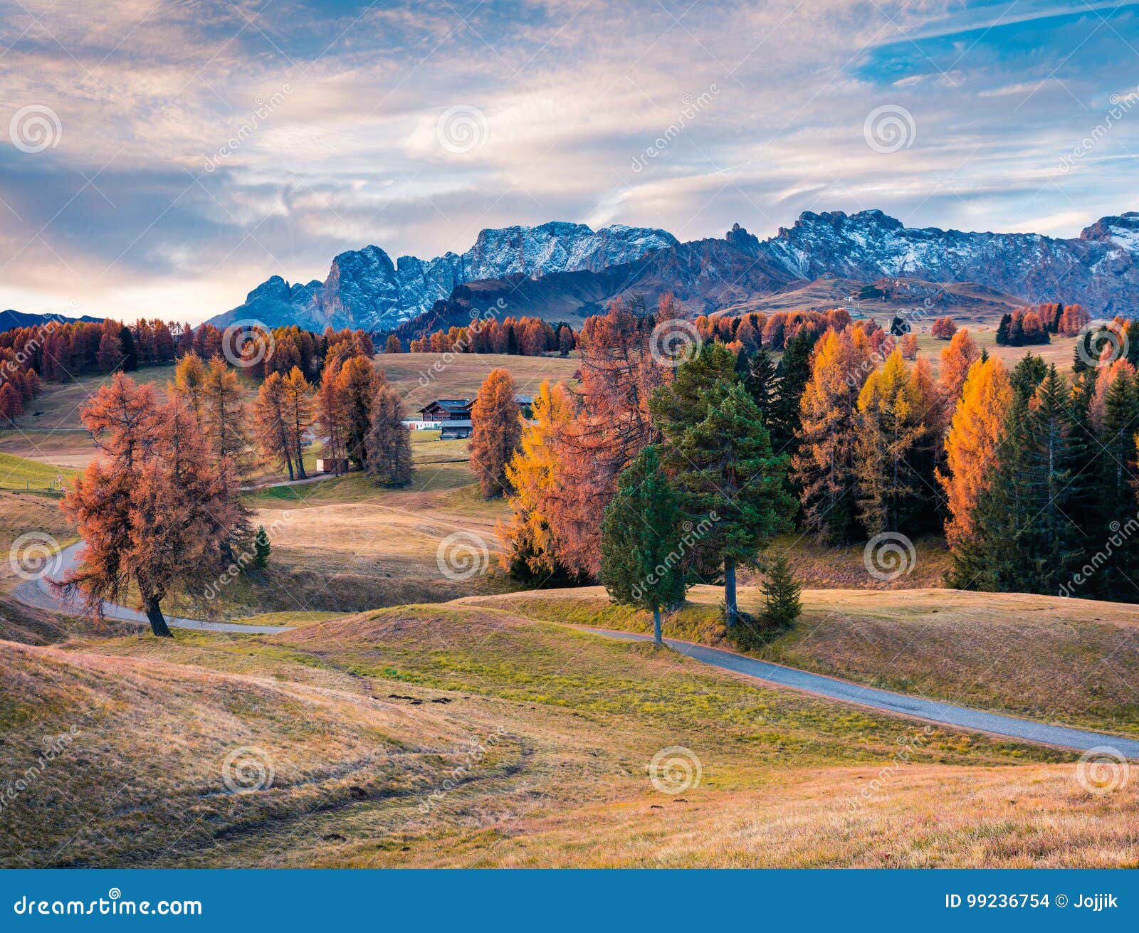 incredible outdoor scene in alpe di siusi with beautiful yellow
