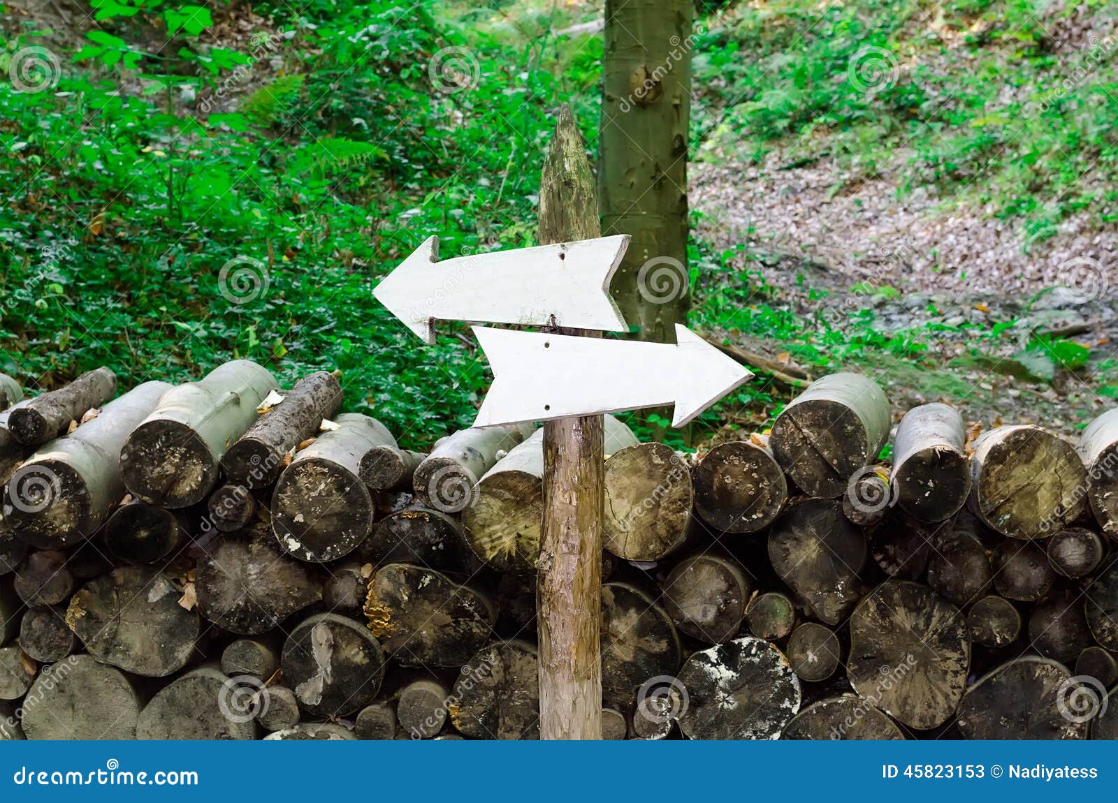 Index in the wood stock image. Image of signpost, place 45823153