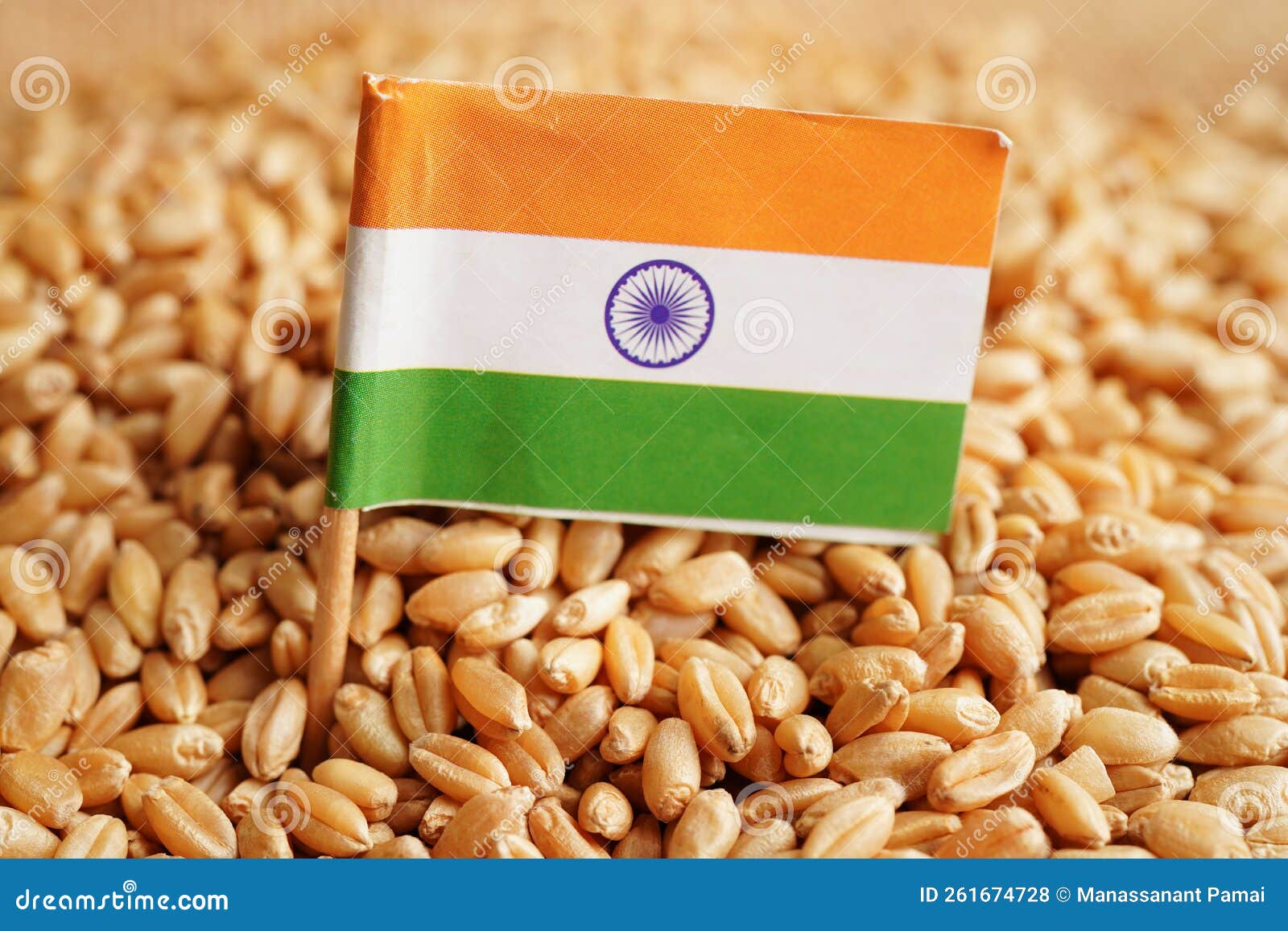 India On Grain Wheat Trade Export And Economy Concept Stock Photo india-on-grain-wheat-trade-export-and-economy-concept-stock-photo