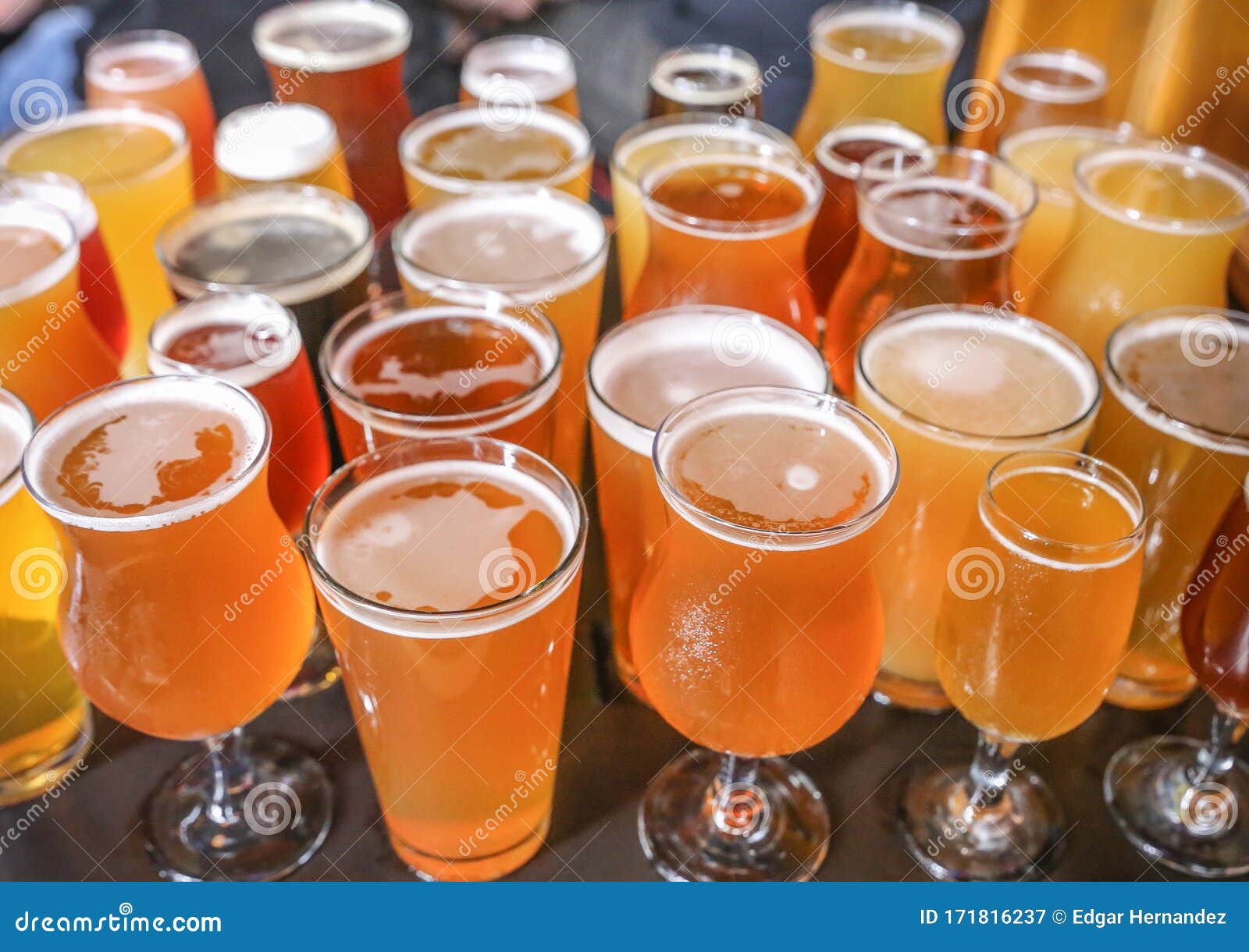 India Pale Ale Craft Beer Tasting Sample Stock Image Image of sample