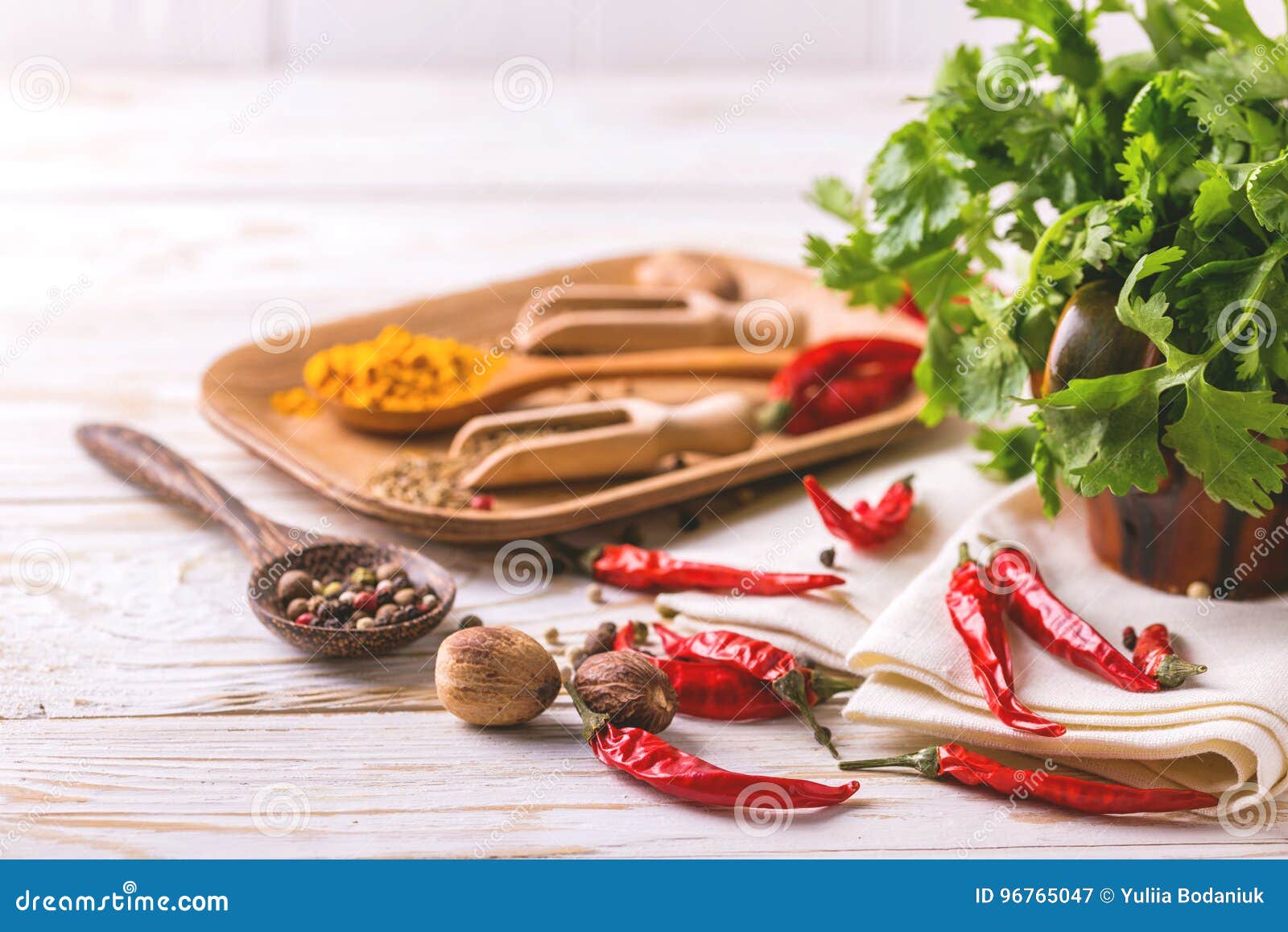 Indian Asian Spices and Cilantro. Copyspace. Horizontal View Stock