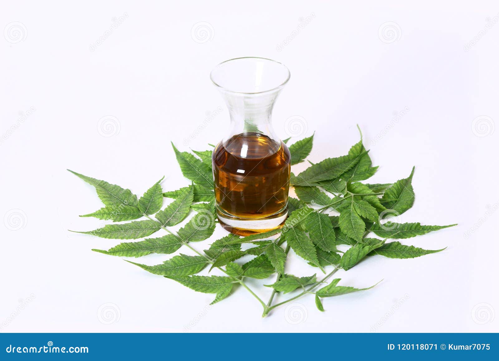 Indian Ayurvedic Neem Oil, Indian Ayurvedic Stock Image Image of