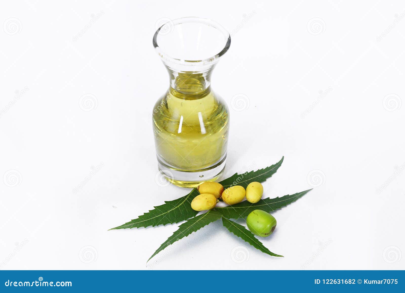 Indian Ayurvedic Neem & Oil, Indian Ayurvedic Stock Photo Image of