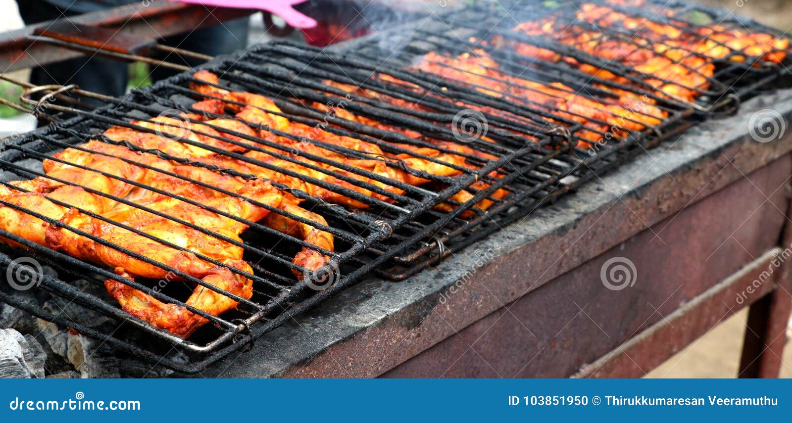 Indian bbq chicken stock photo. Image of cuisine, arrosticini 103851950