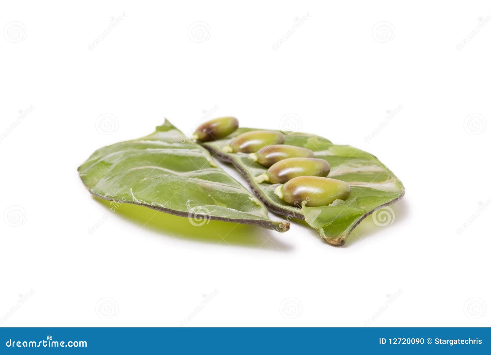 Indian Bean stock photo. Image of hyacinth, agriculture 12720090