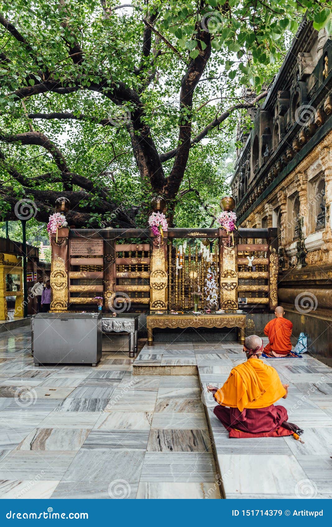 The Bodhi Tree Mahabodhi Temple Of Bodh Gaya India At Puja Festival