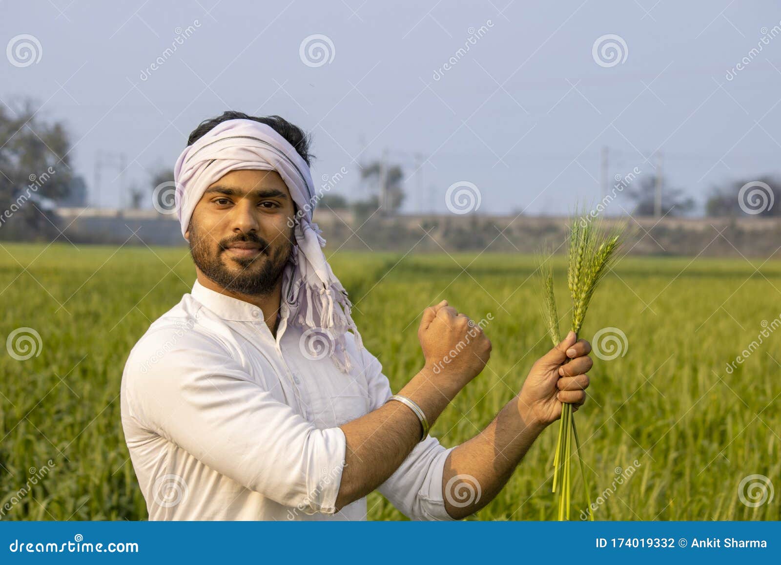 Indian Farmer Holding Barley and Showing His Strong and Healthy Crop of Wheat Stock Photo - Image of enjoying, color: 174019332 Indian Farmer Holding Barley and Showing His Strong and Healthy Crop of Wheat Stock Photo - Image of enjoying, color: 174019332