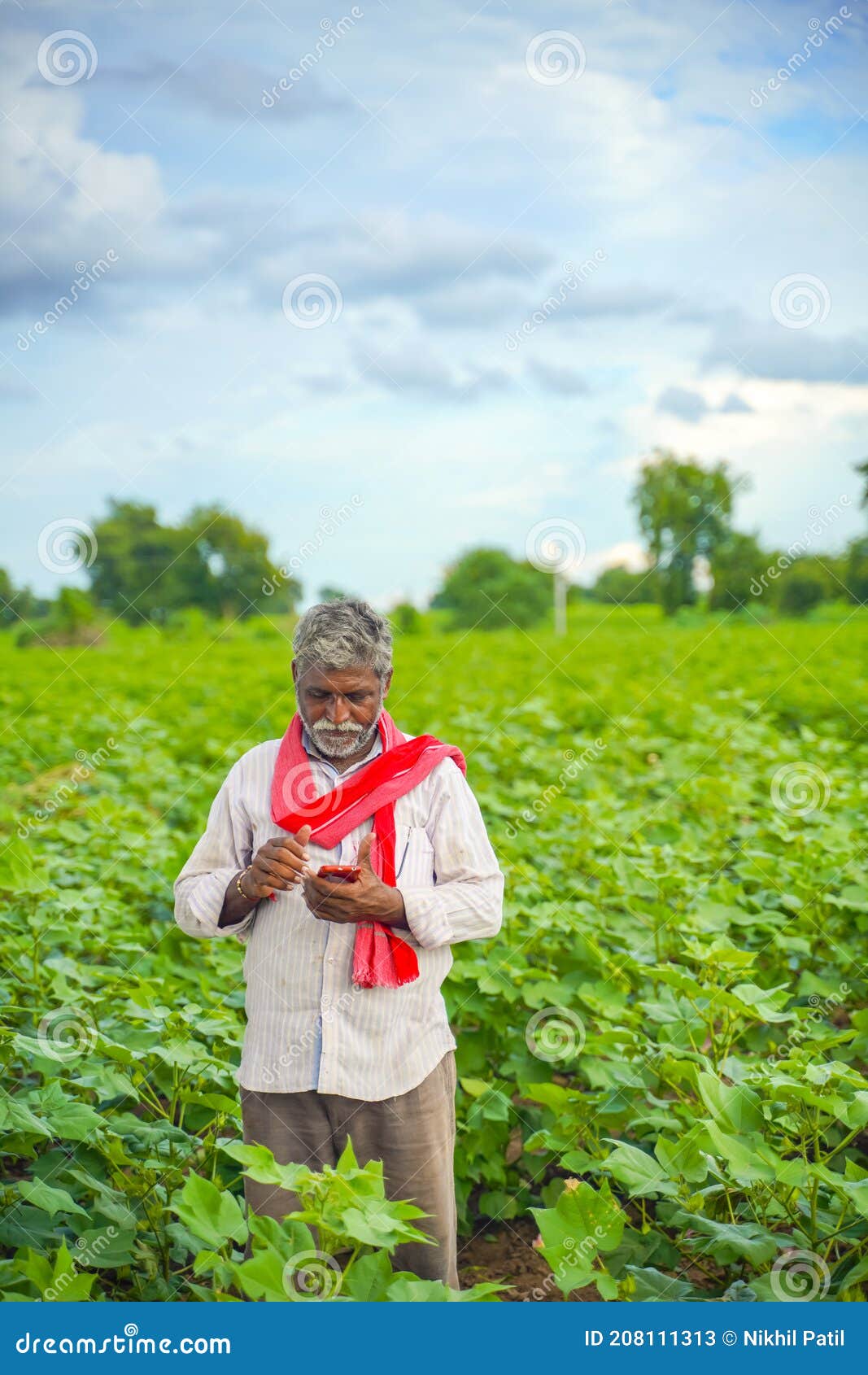 Indian Farmer Using Mobile Phone At Agriculture Field Stock Image