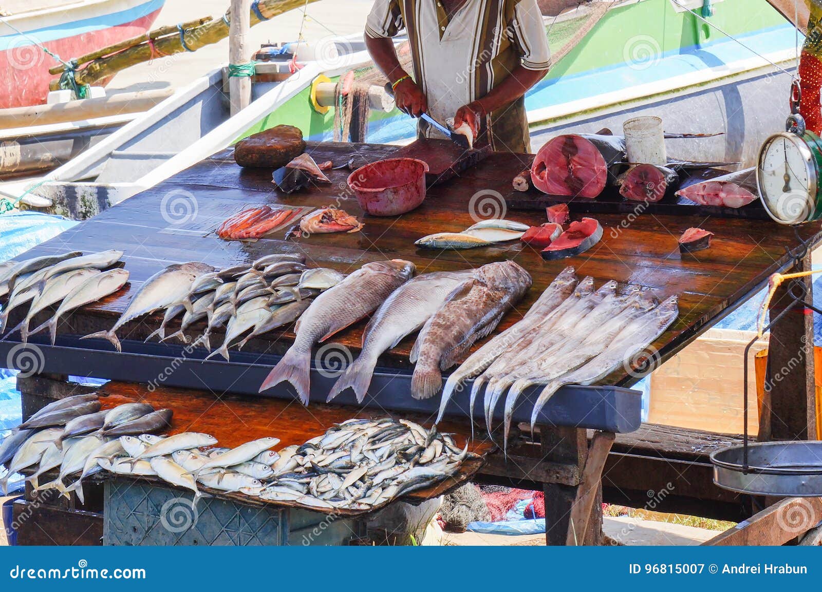 Indian Fresh Fish Street Market Stock Image Image of culture