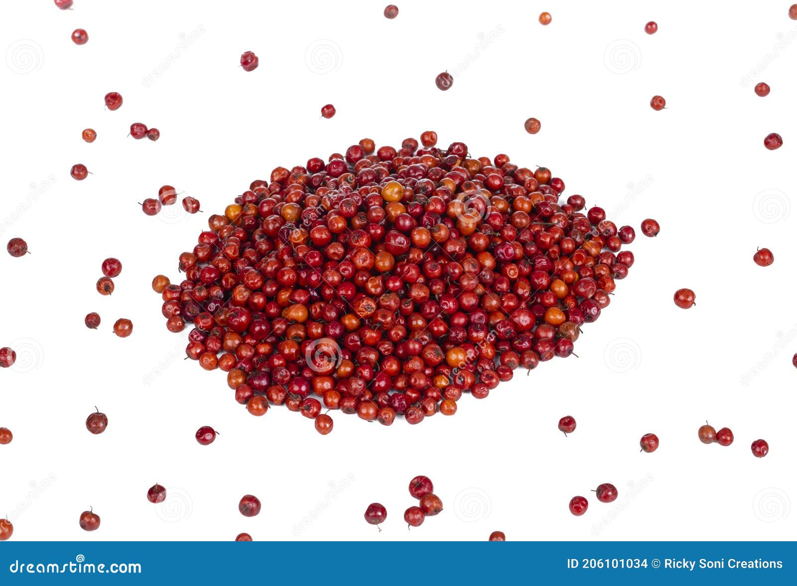 Indian Fruit Red Berry on White Background Stock Photo Image of