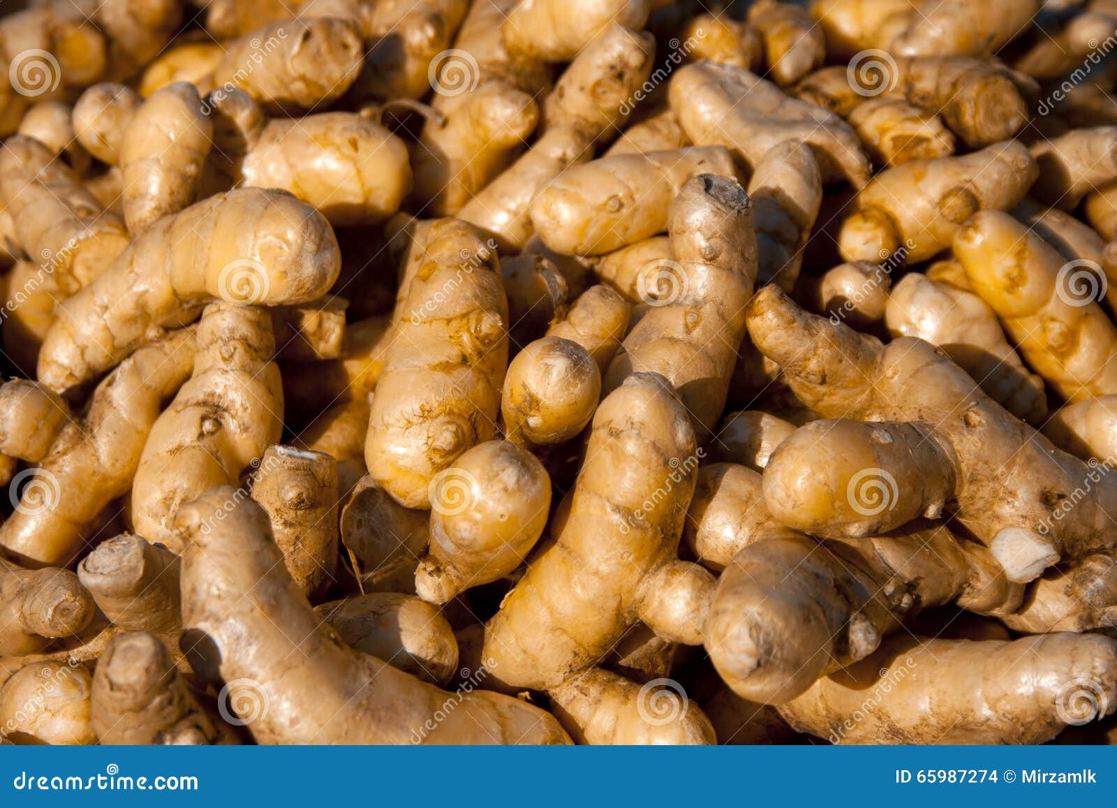 INdian Ginger stock photo. Image of care, dinner, agriculture 65987274