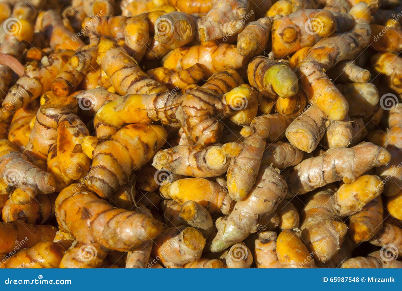 INdian Ginger stock photo. Image of healthy, conceptual 65987548