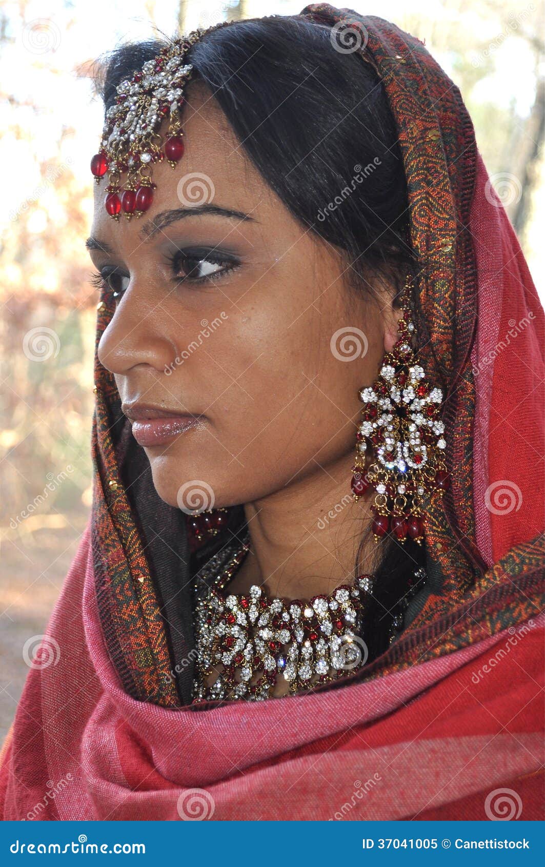 Indian Girls Profile stock image. Image of bride, colors - 37041005