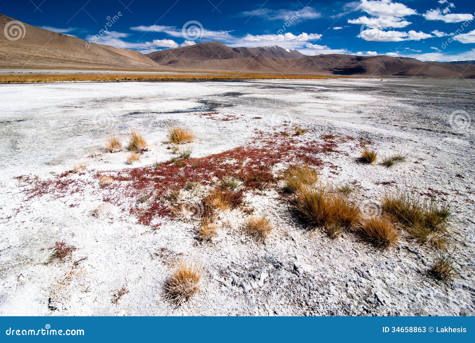 download astrobiology of earth the emergence evolution and future of life on a planet in turmoil