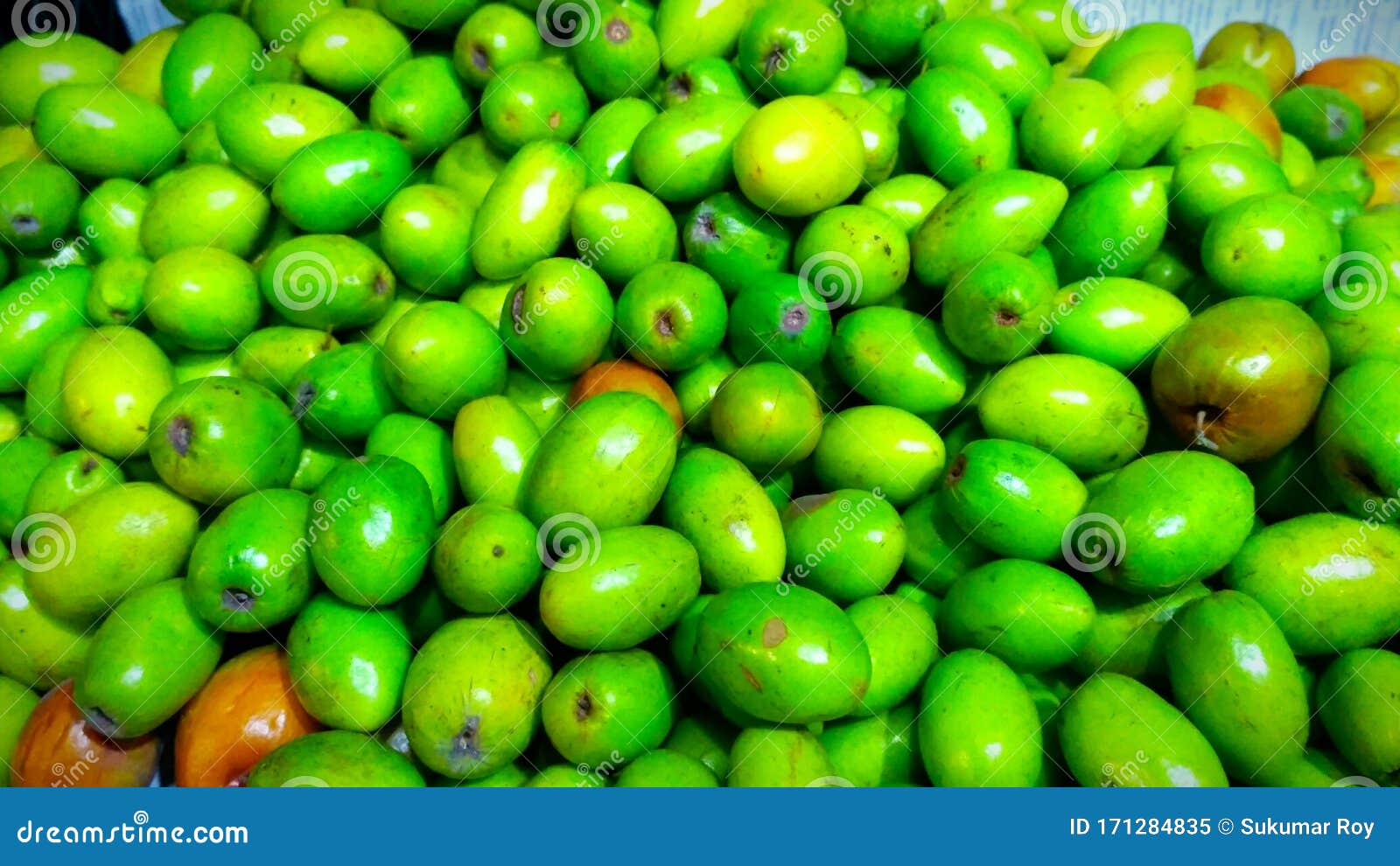 Indian Jujube Fruit Also Known As Ziziphus Mauritiana Stock Image Image Of Heap Fruit Indian Jujube Fruit Also Known As Ziziphus Mauritiana Stock Image Image Of Heap Fruit