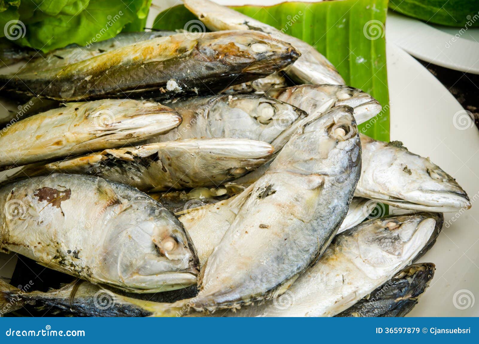 Indian Mackerel stock image. Image of steamed, kanagurta 36597879