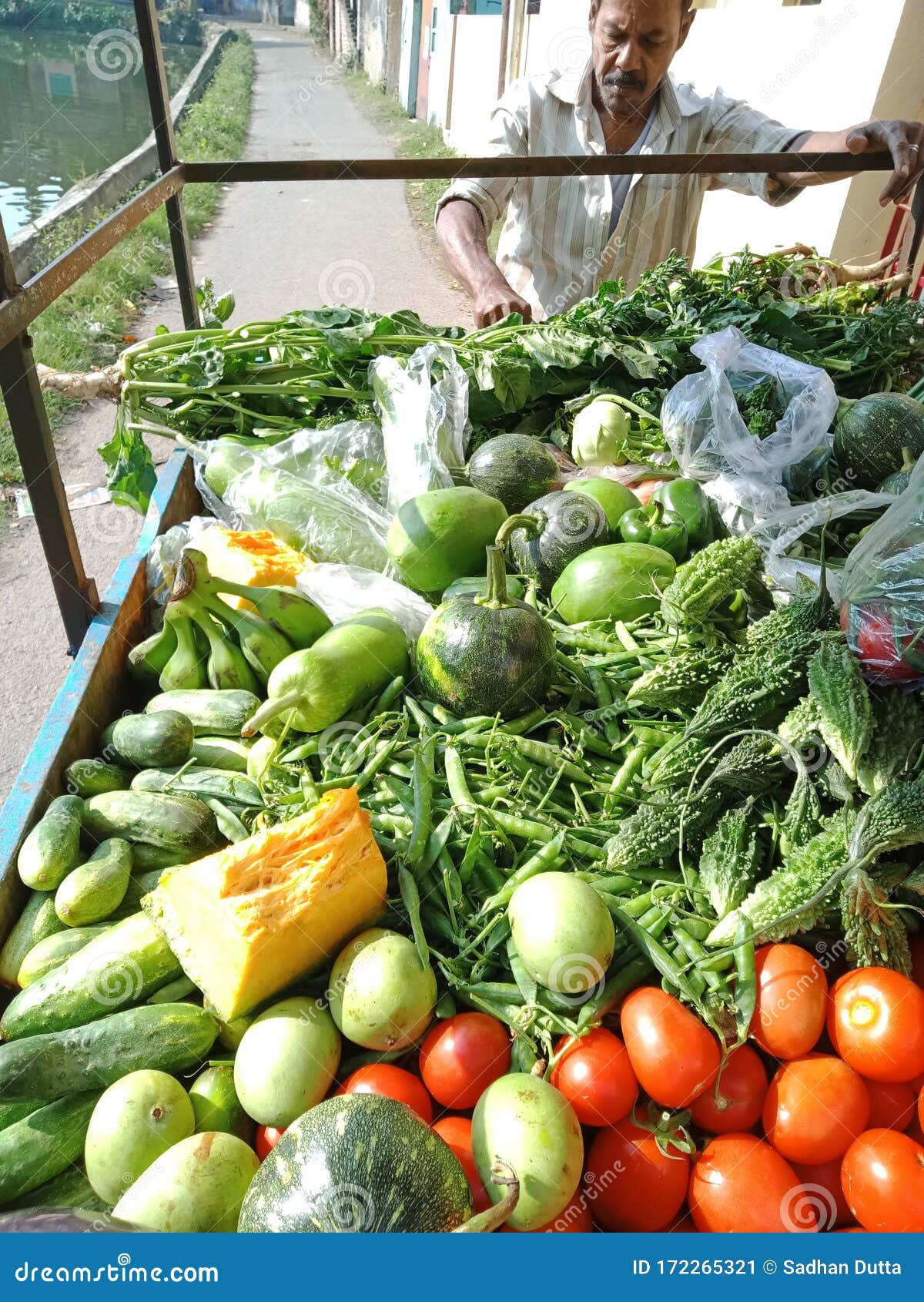 Indian Male Vendor Selling Vegetables Editorial Photo Image of