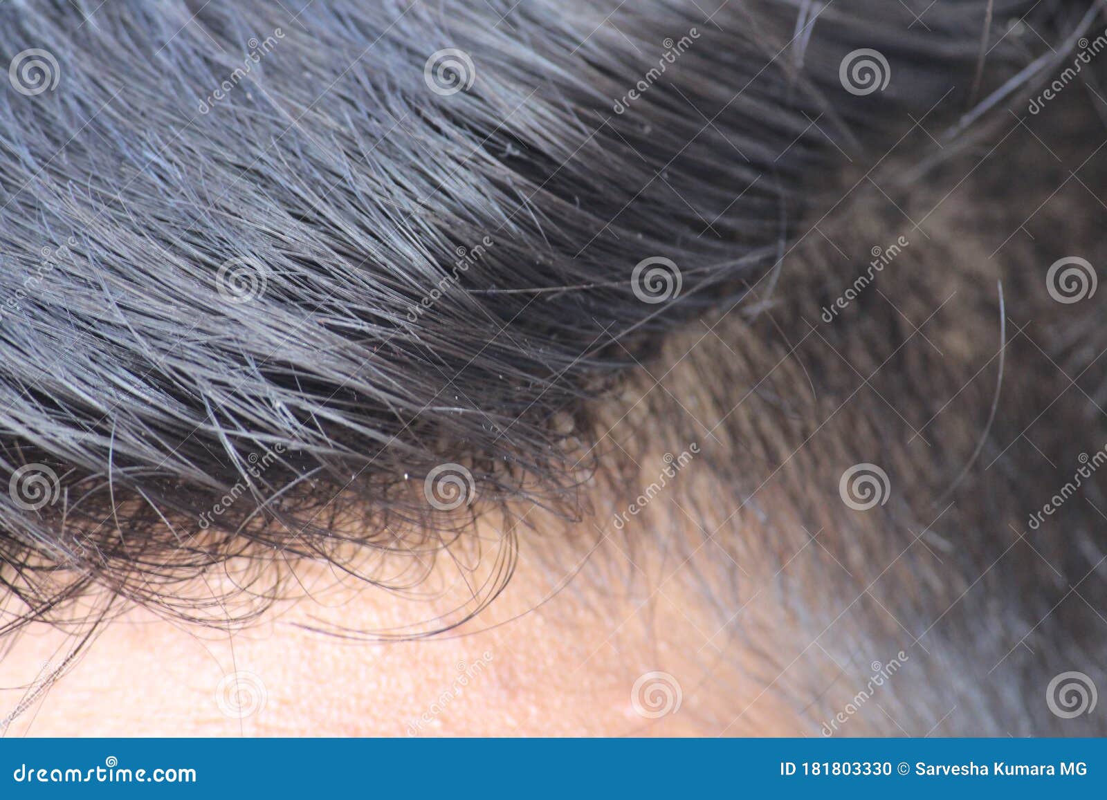 An Indian Man Hair Style in Close Up. Beautiful Silky Shine Black Hair, Combed and Cleanly Manintained Stock Photo - Image of shine, scalp: 181803330 An Indian Man Hair Style in Close Up. Beautiful Silky Shine Black Hair, Combed and Cleanly Manintained Stock Photo - Image of shine, scalp: 181803330
