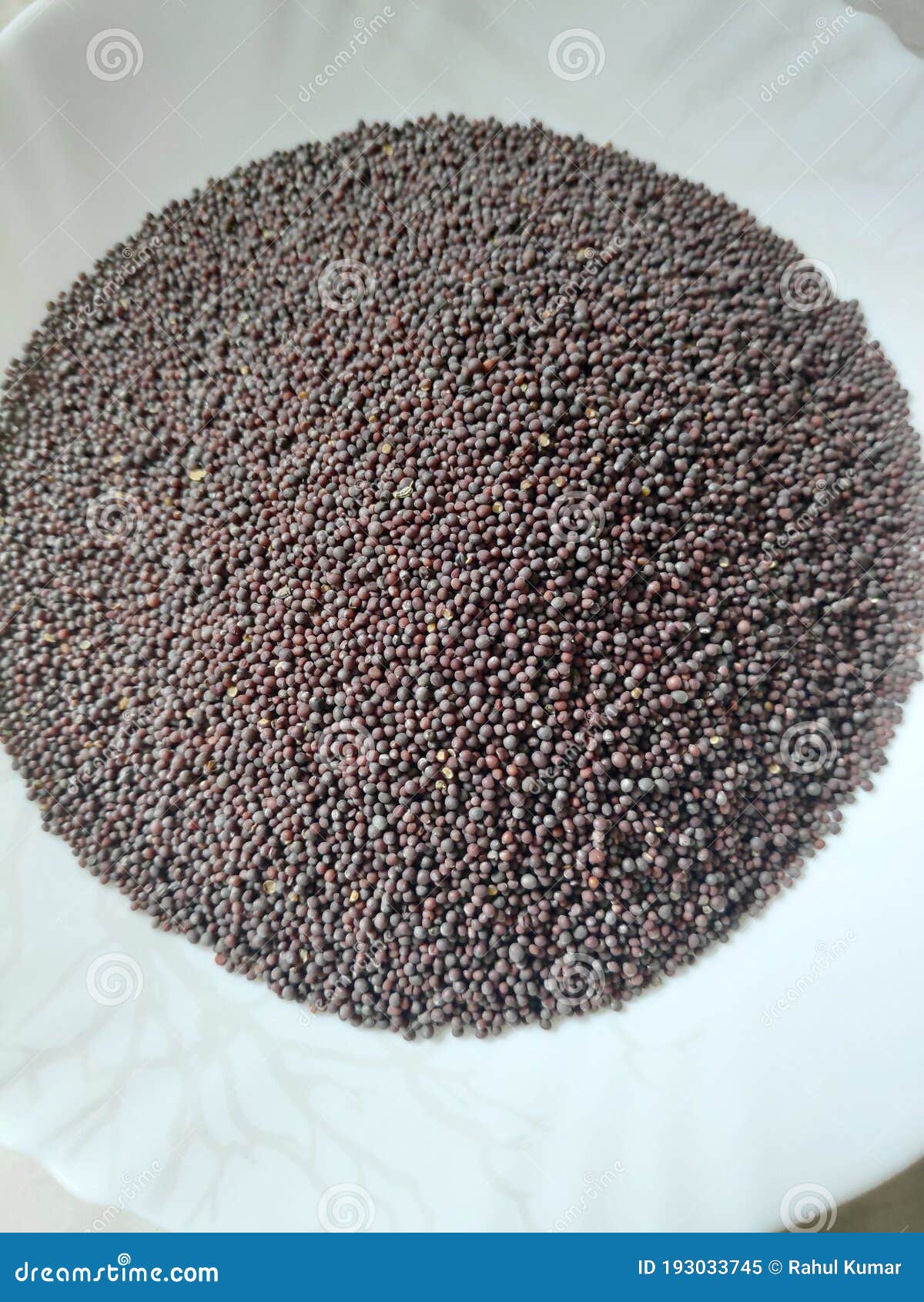 Indian Natural Brown Mustard Seeds Stock Image Image of mustard